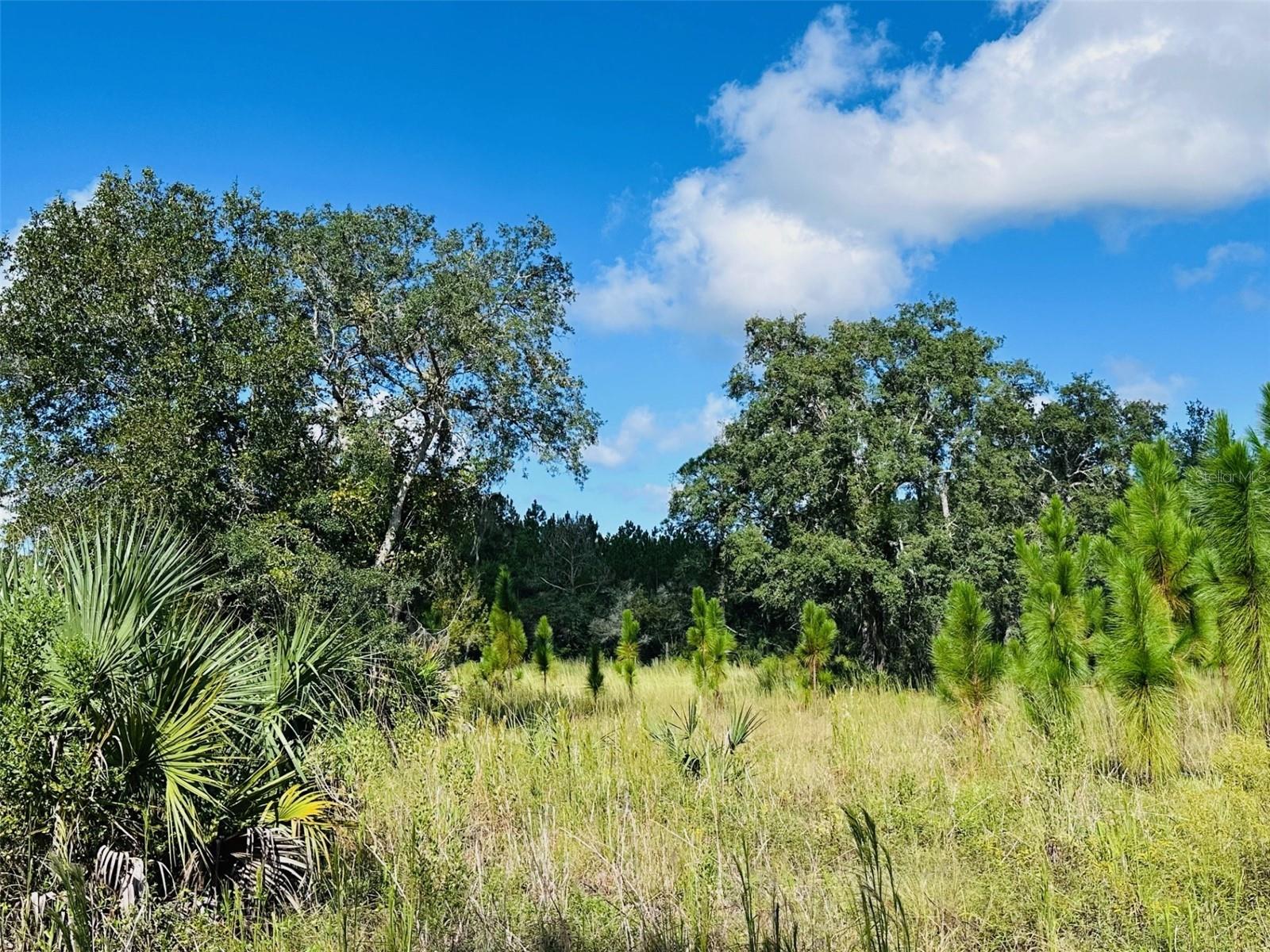 Image 36 of 41 For 5271 County Road 347