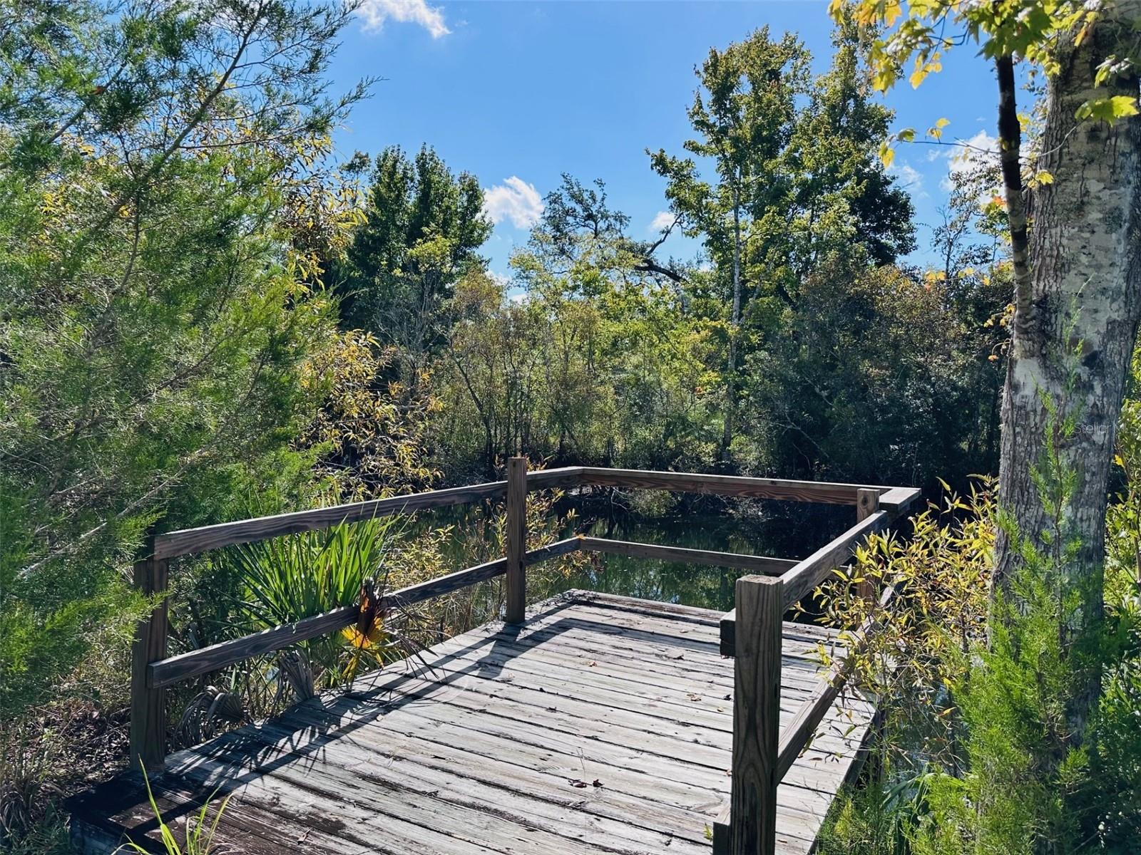 Image 37 of 41 For 5271 County Road 347