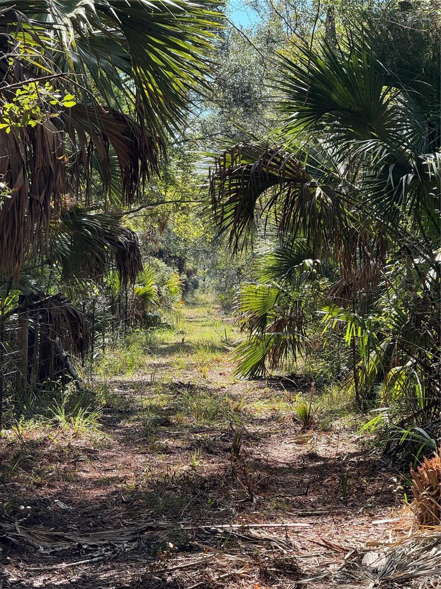 Image 12 of 24 For Tbd Quail Road