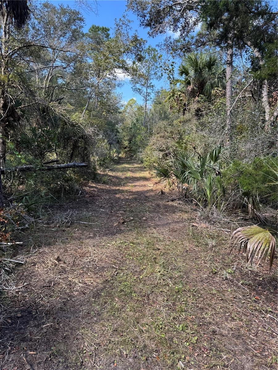 Image 16 of 24 For Tbd Quail Road