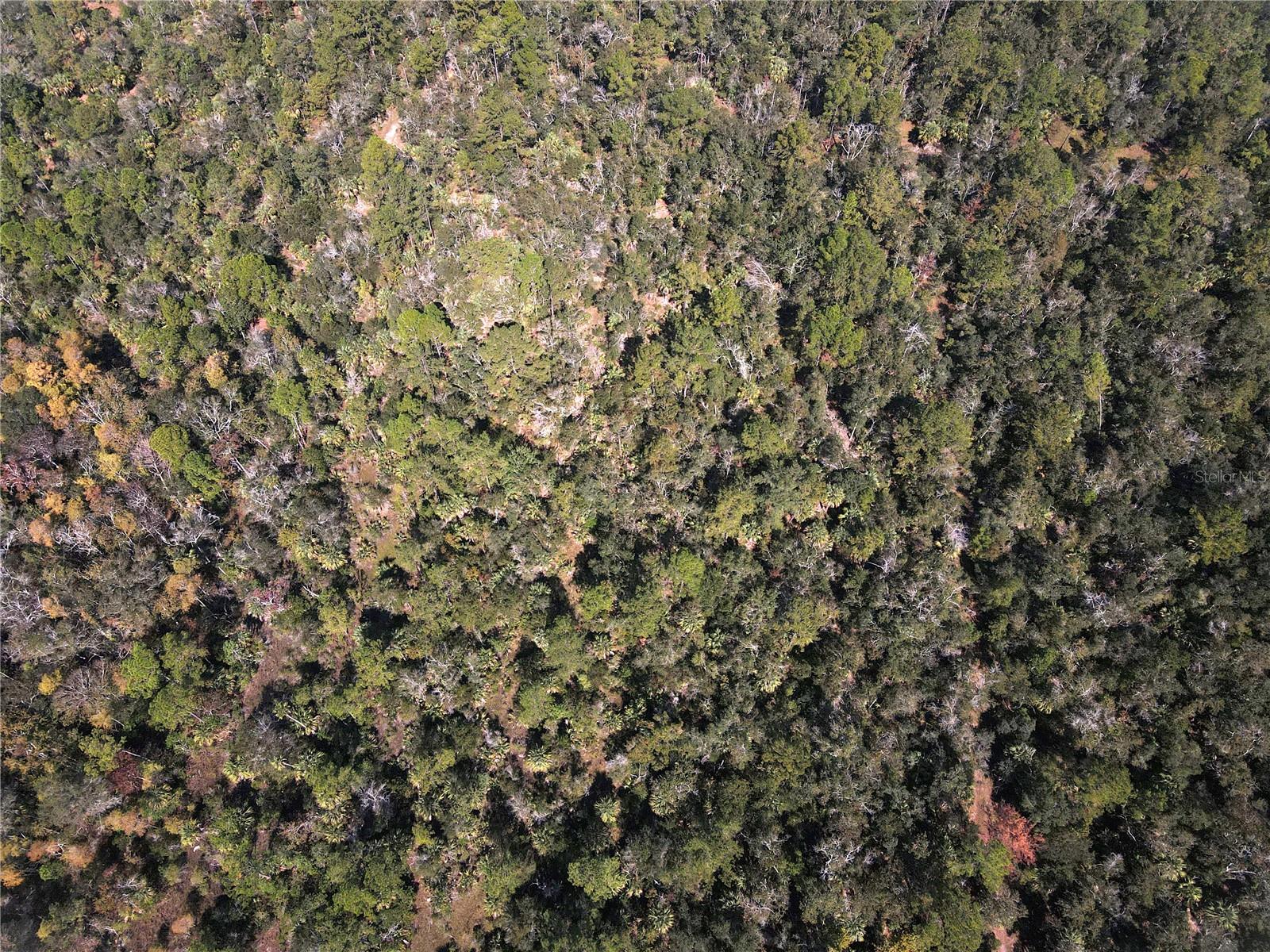 Image 19 of 24 For Tbd Quail Road