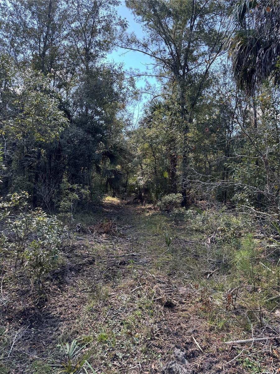 Image 20 of 24 For Tbd Quail Road