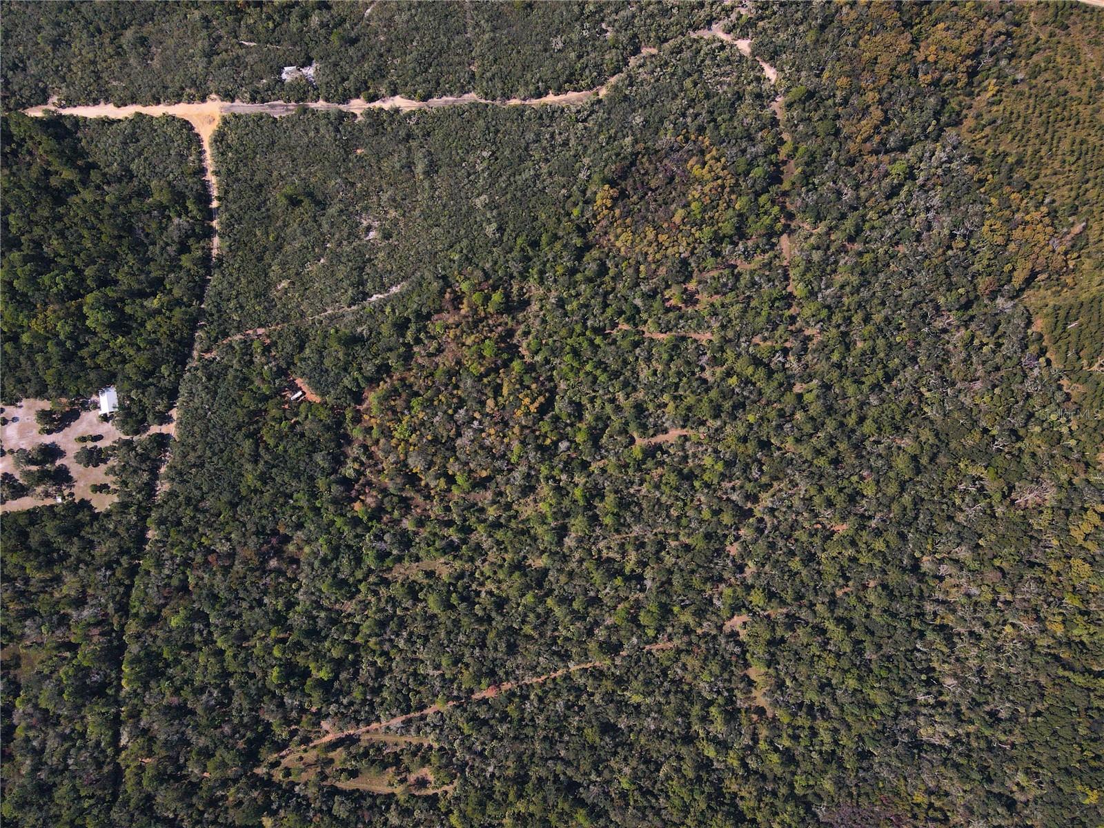 Image 23 of 24 For Tbd Quail Road