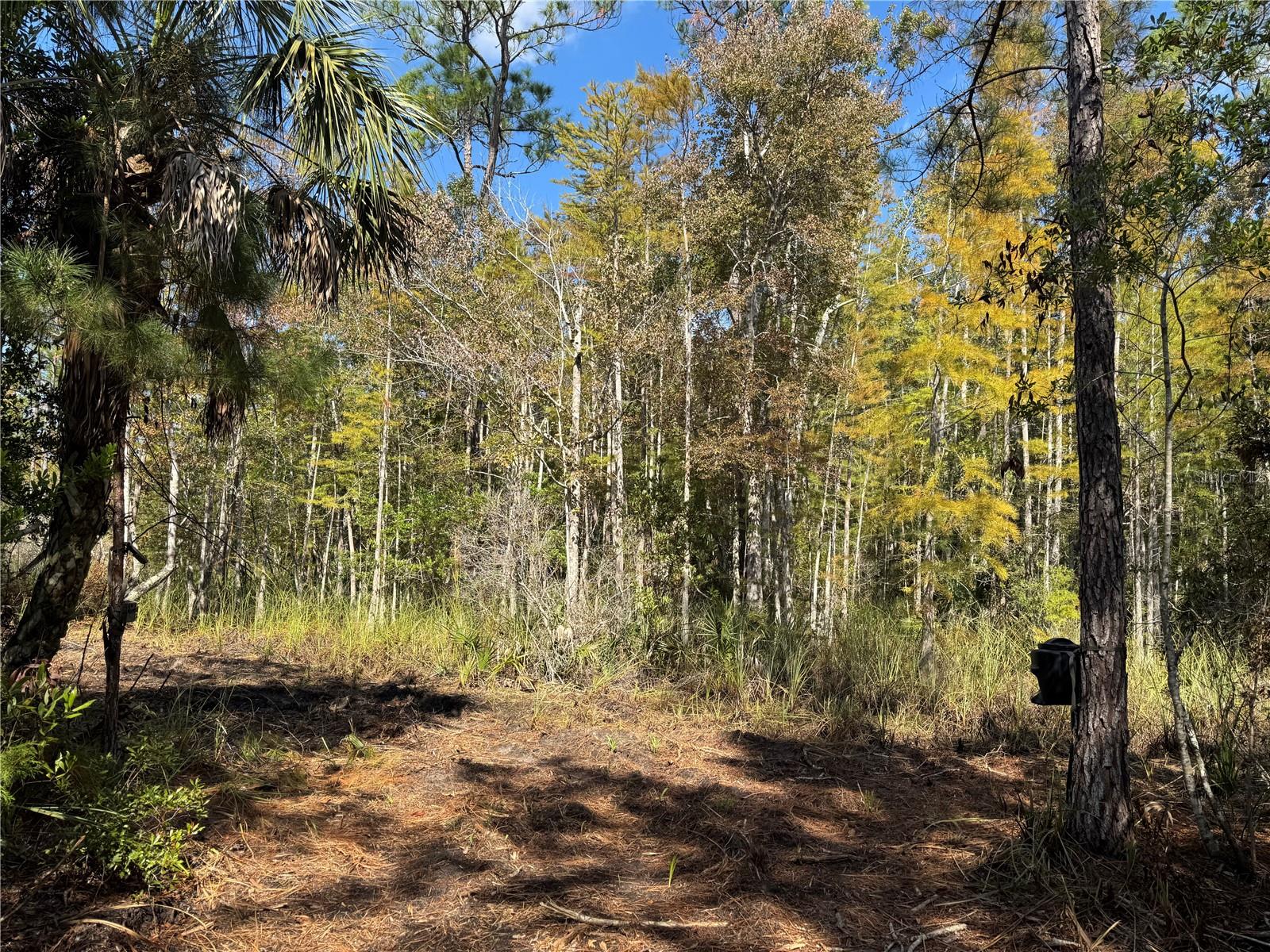 Image 4 of 24 For Tbd Quail Road