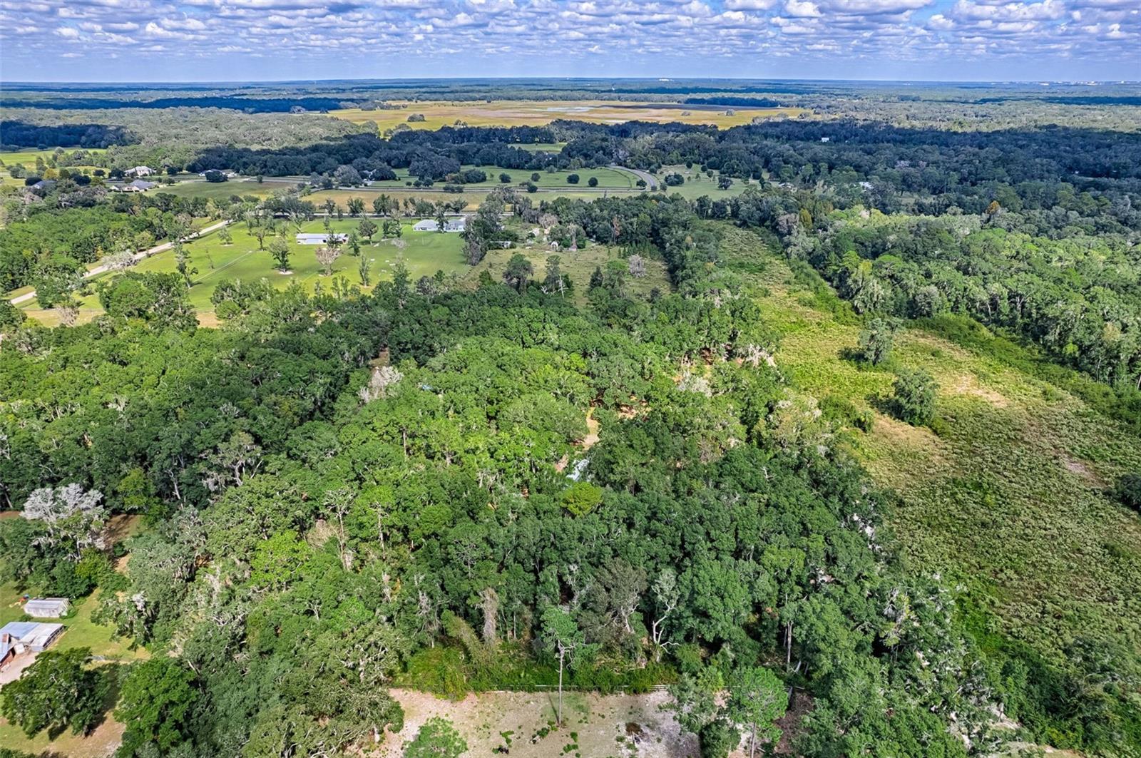 Image 25 of 29 For 7501 137th Avenue