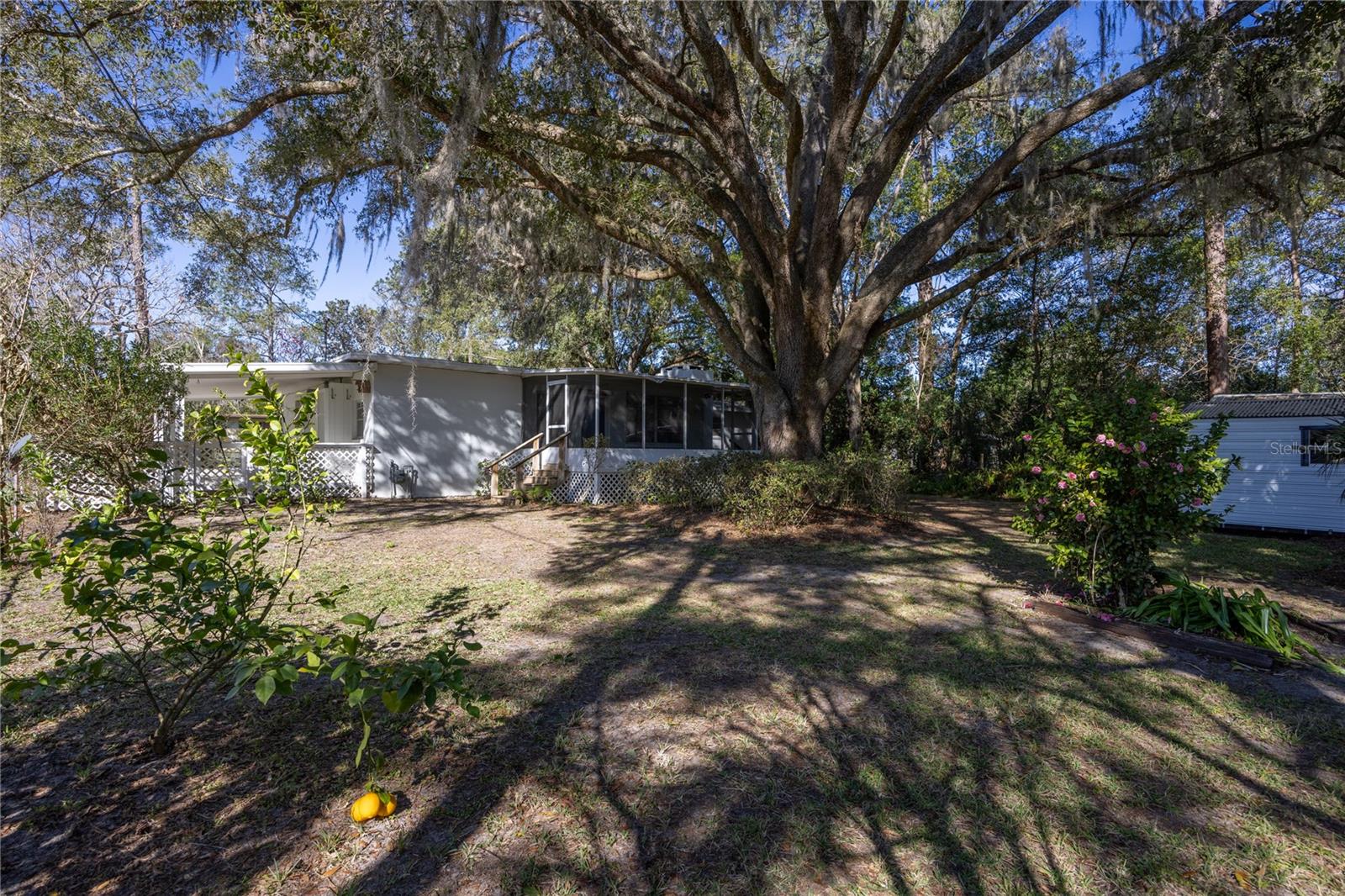 Image 29 of 37 For 311 8th Street