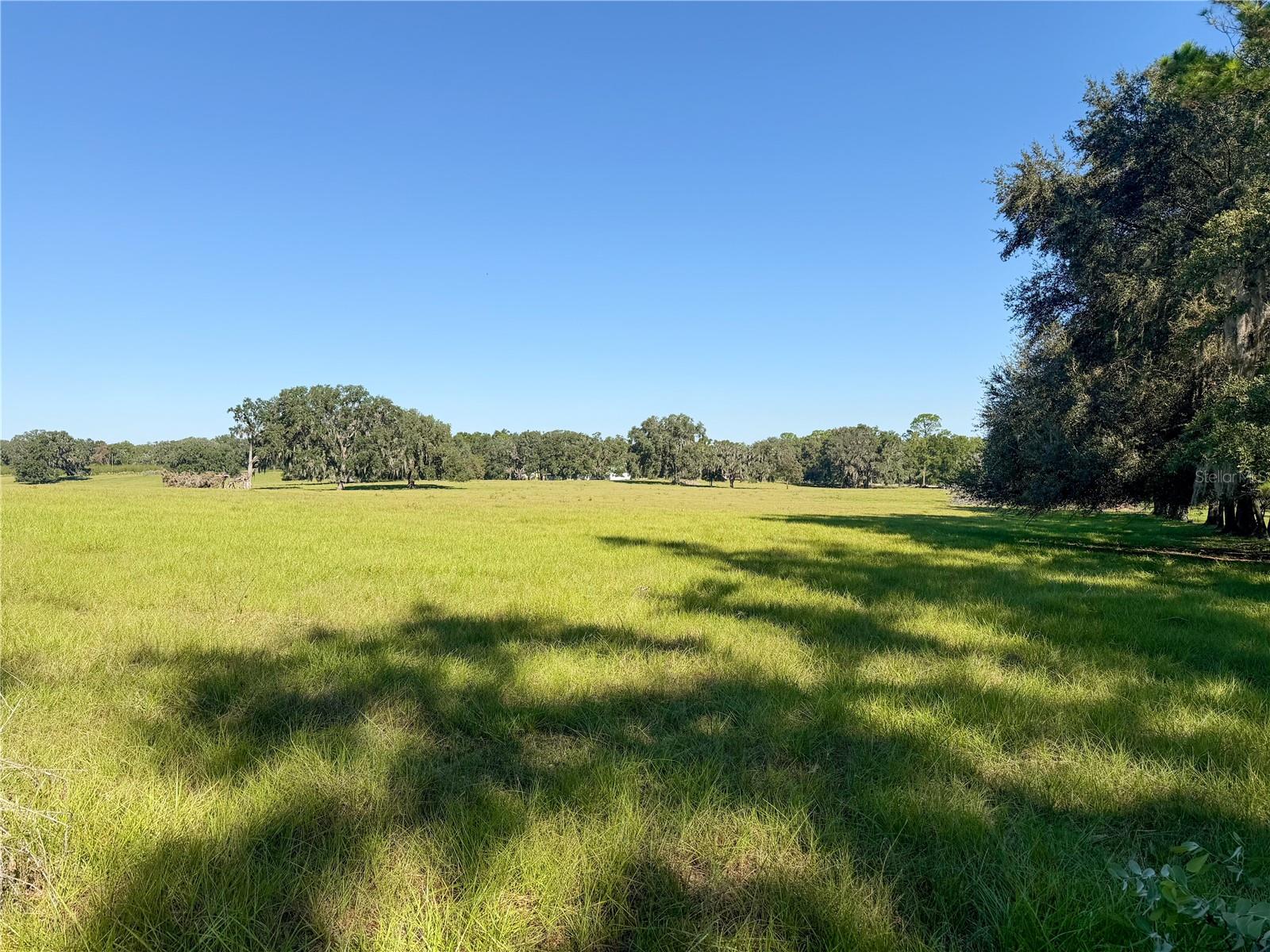 Image 60 of 83 For 960 Bethlehem Avenue