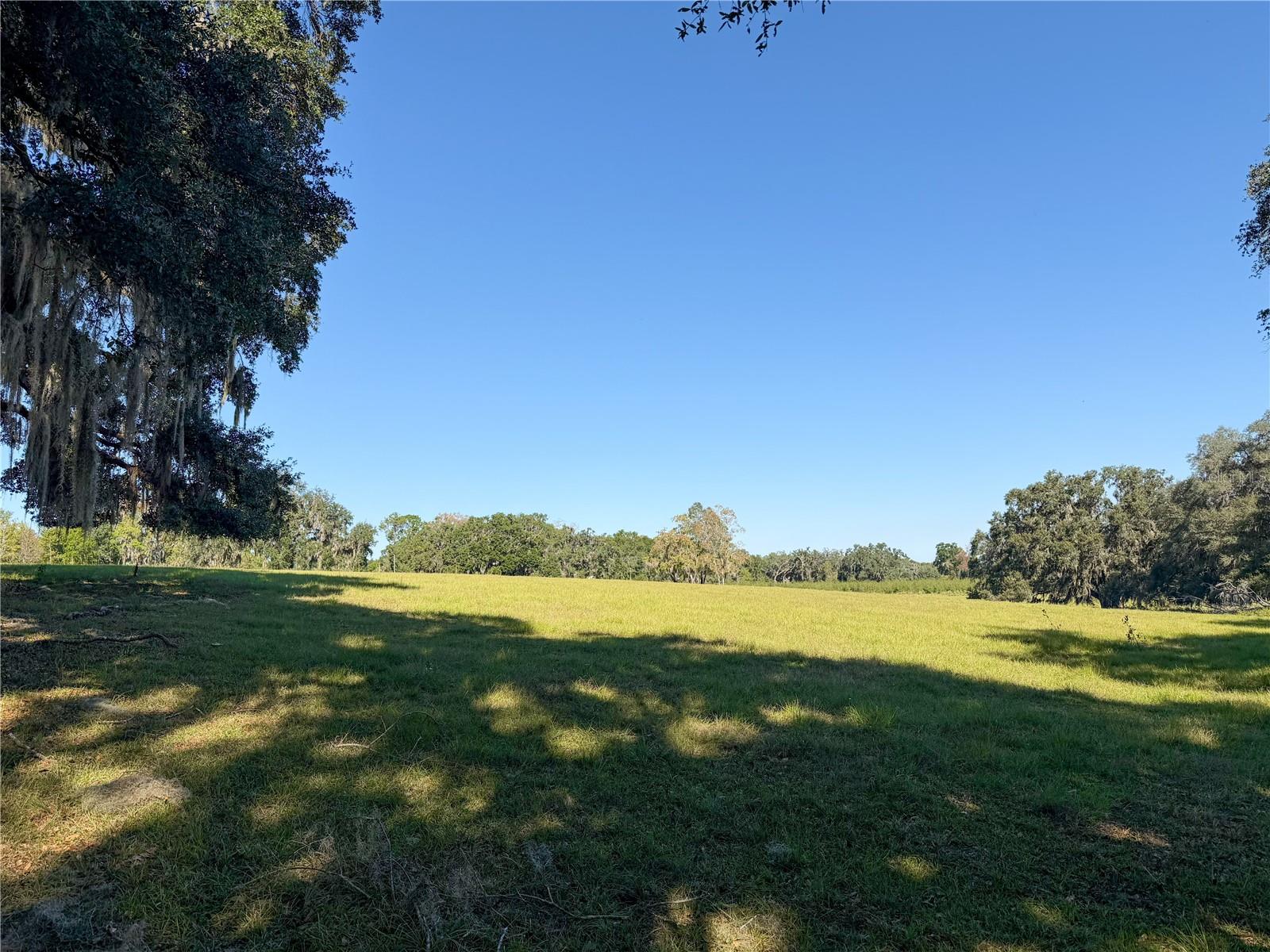 Image 65 of 83 For 960 Bethlehem Avenue