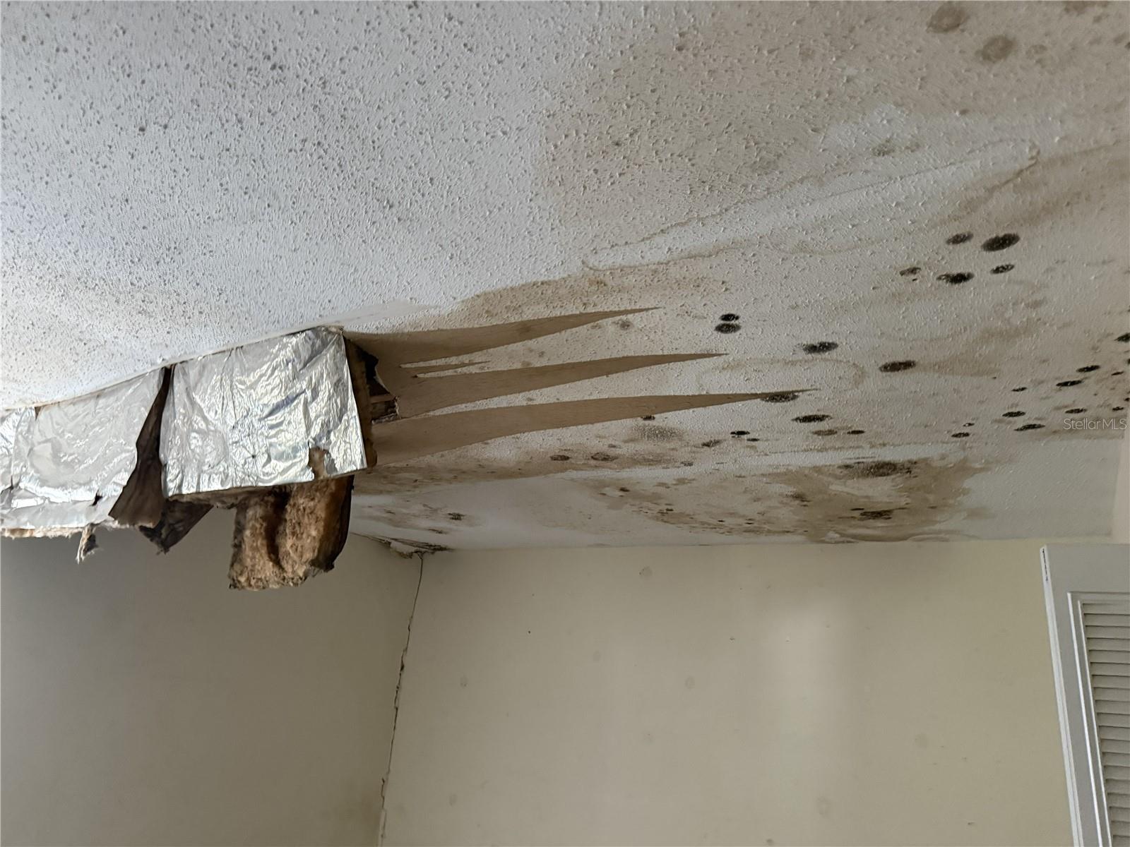 Image 14 of 34 For 709 75th Street 104