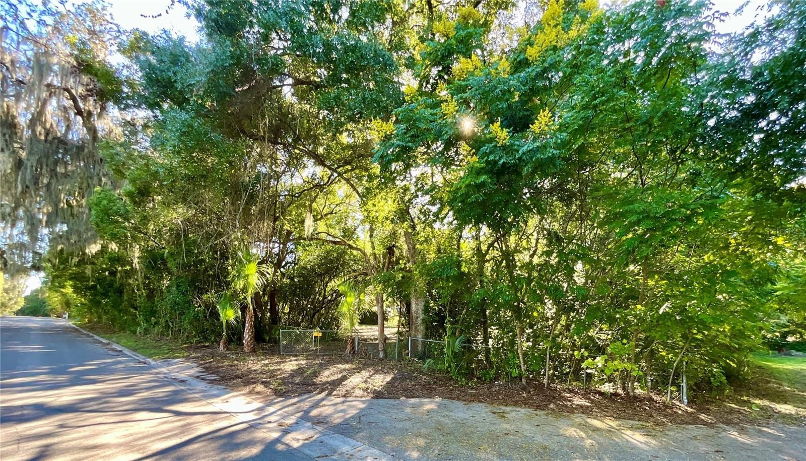 Image 11 of 41 For Trout Street