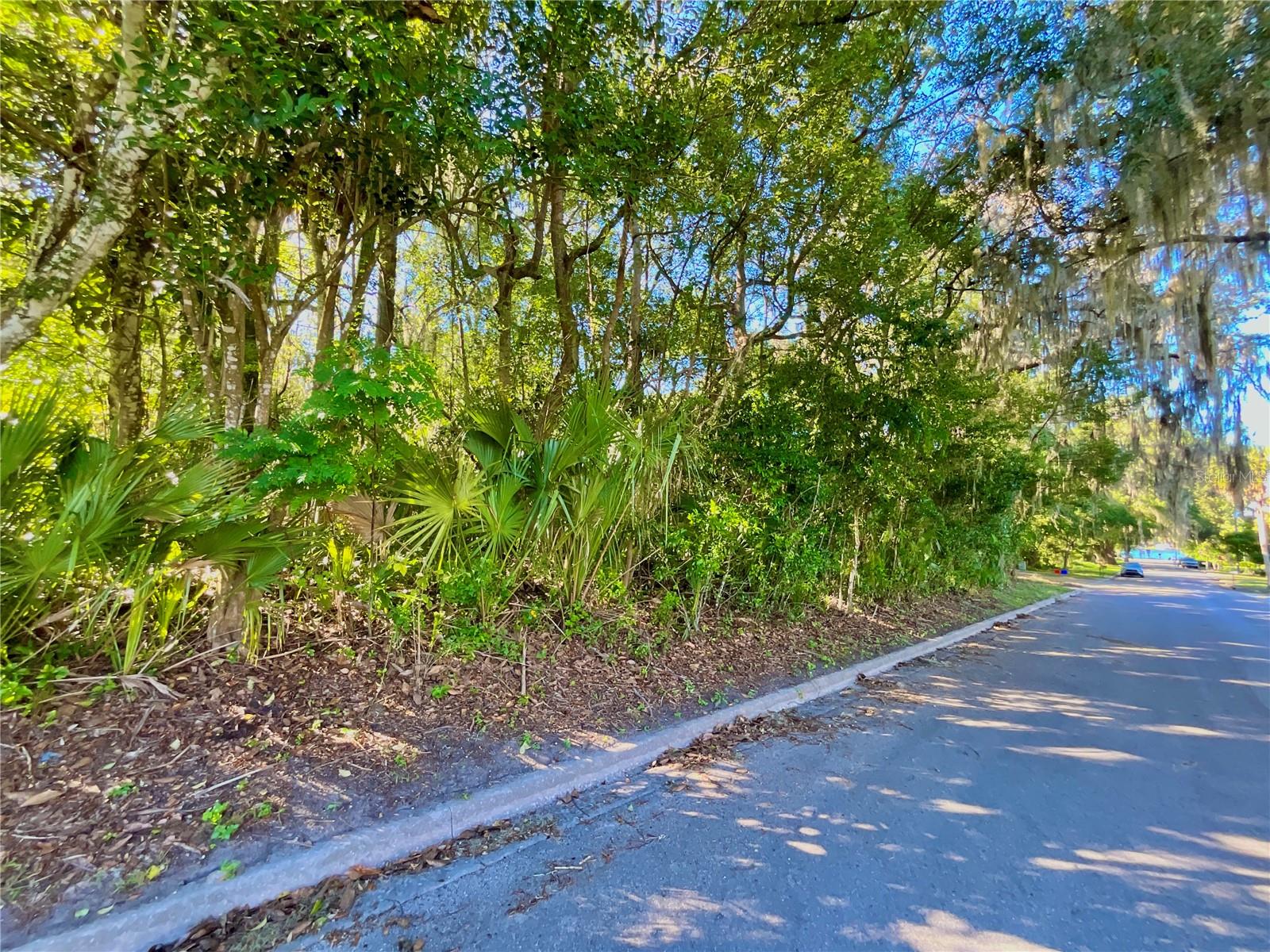 Image 12 of 41 For Trout Street