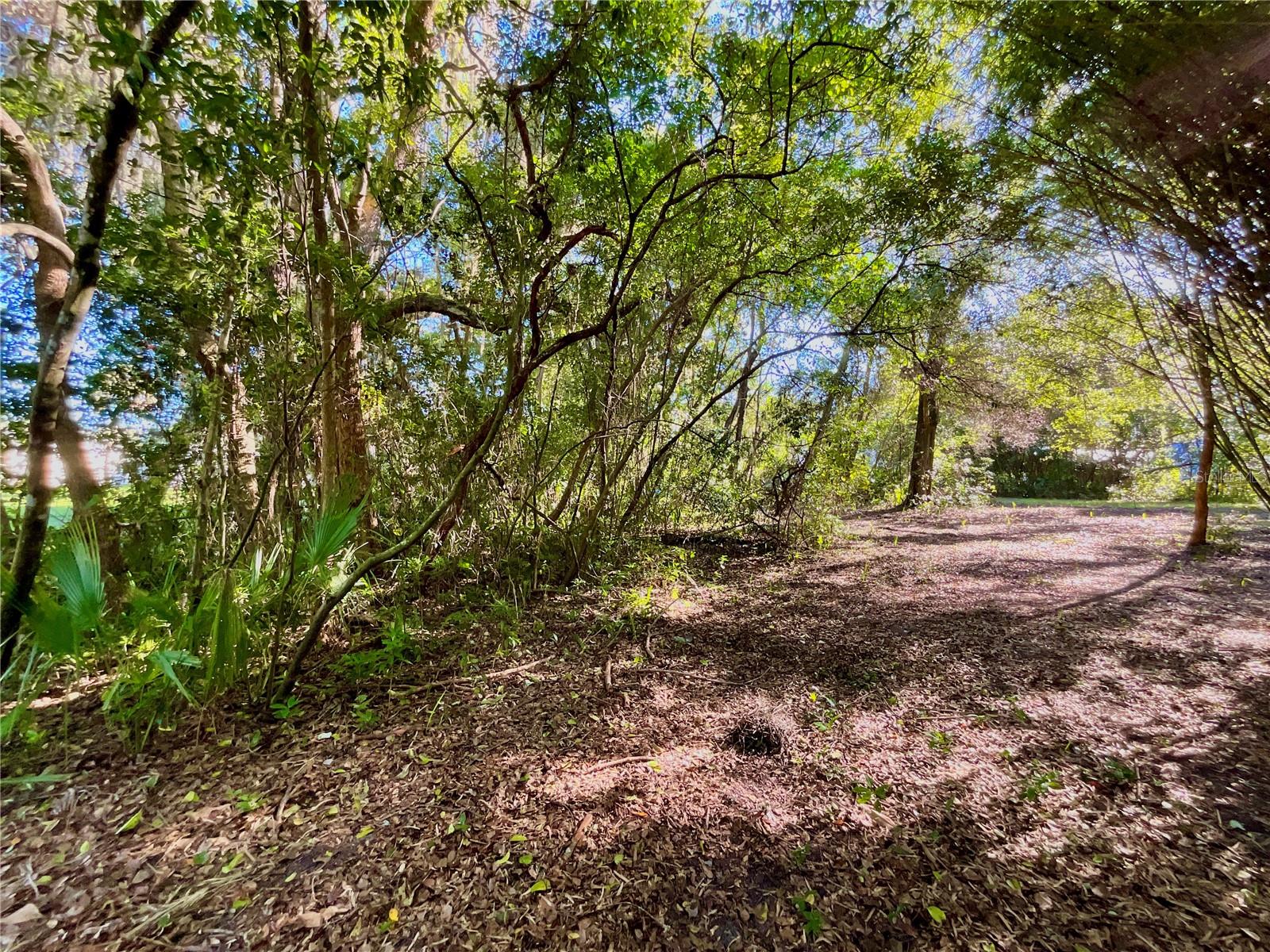 Image 13 of 41 For Trout Street