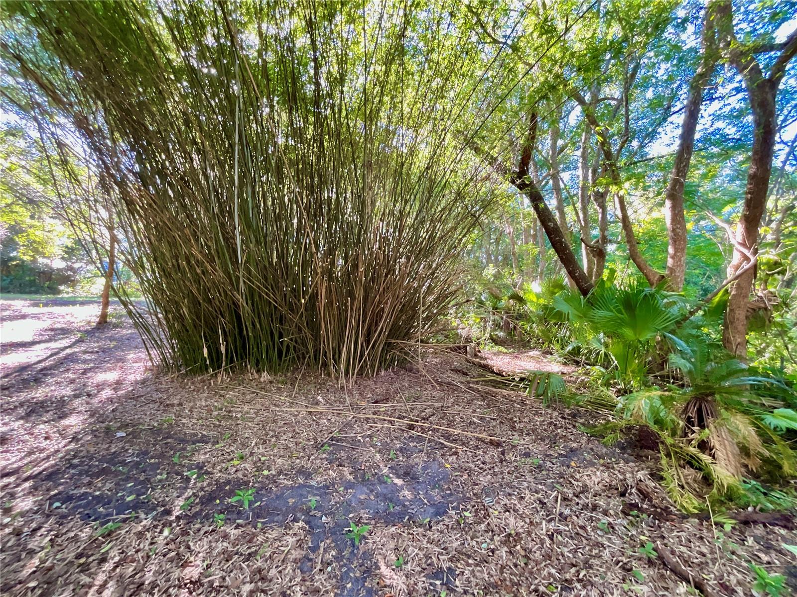 Image 15 of 41 For Trout Street