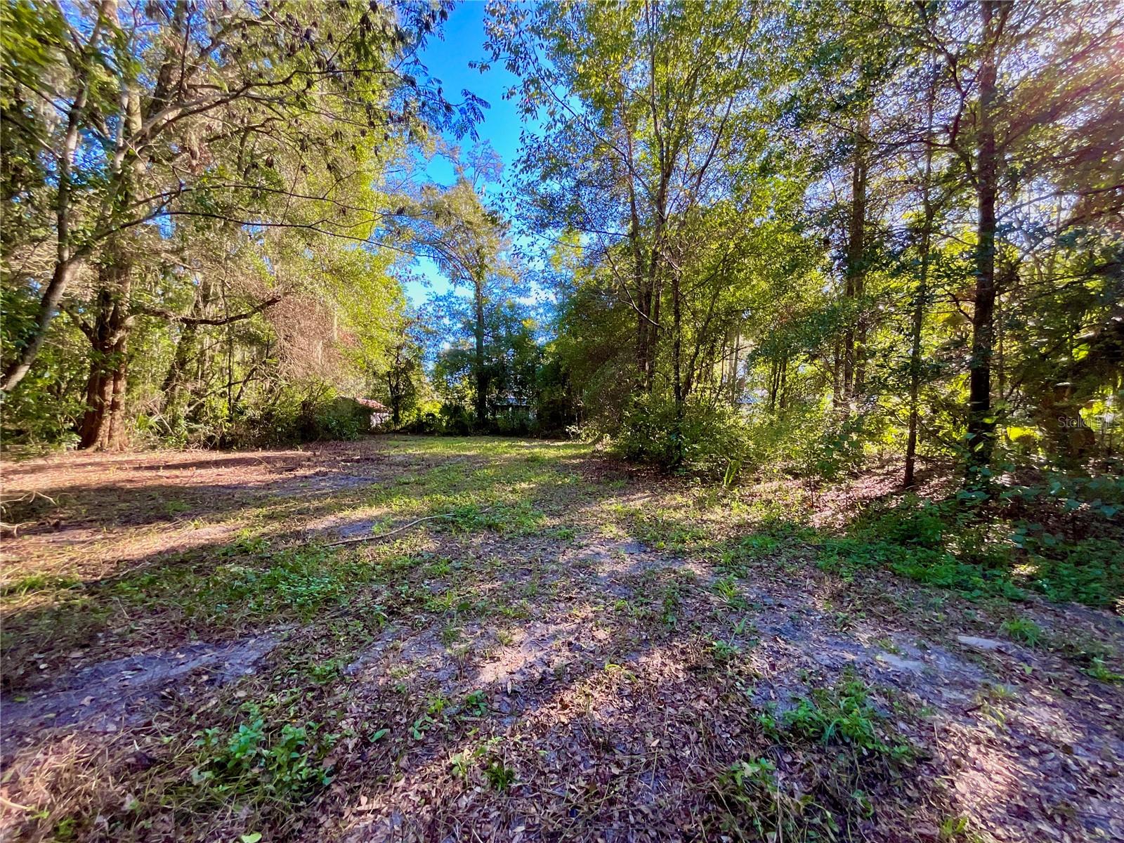 Image 17 of 41 For Trout Street