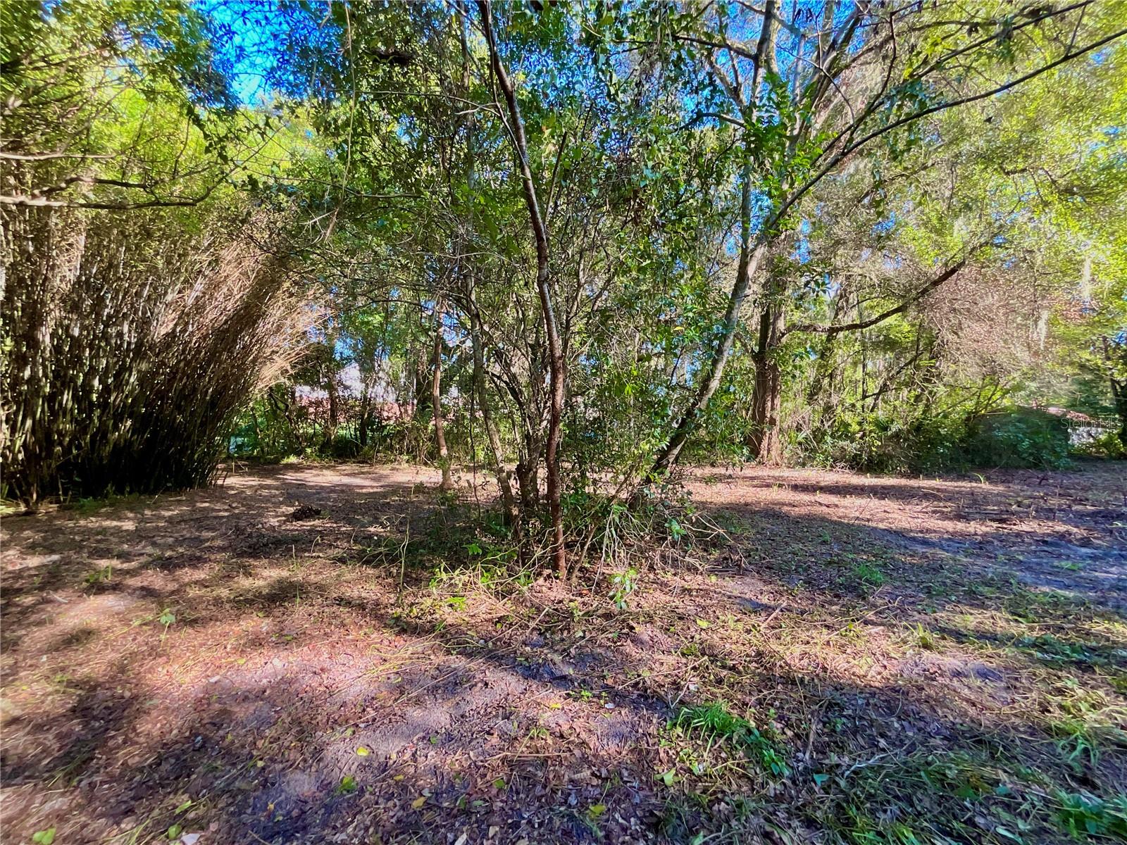 Image 18 of 41 For Trout Street