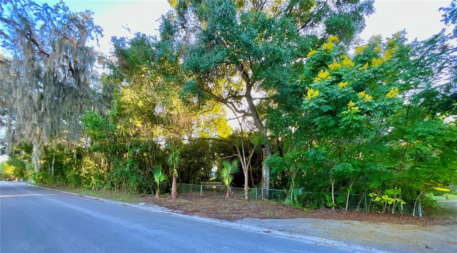 Image 20 of 41 For Trout Street