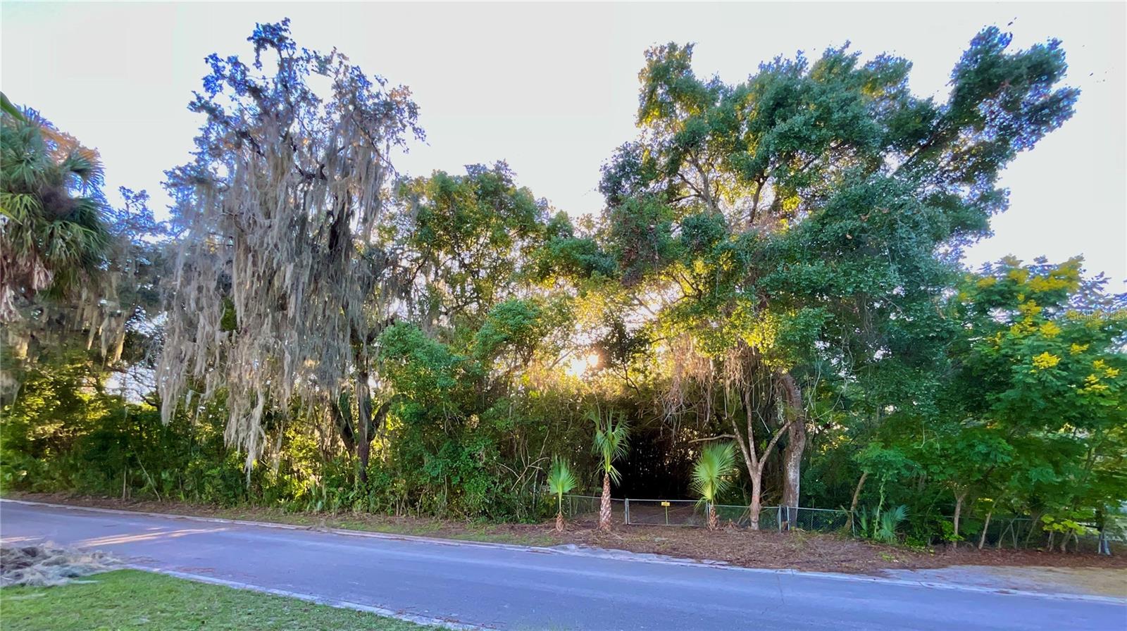 Image 23 of 41 For Trout Street