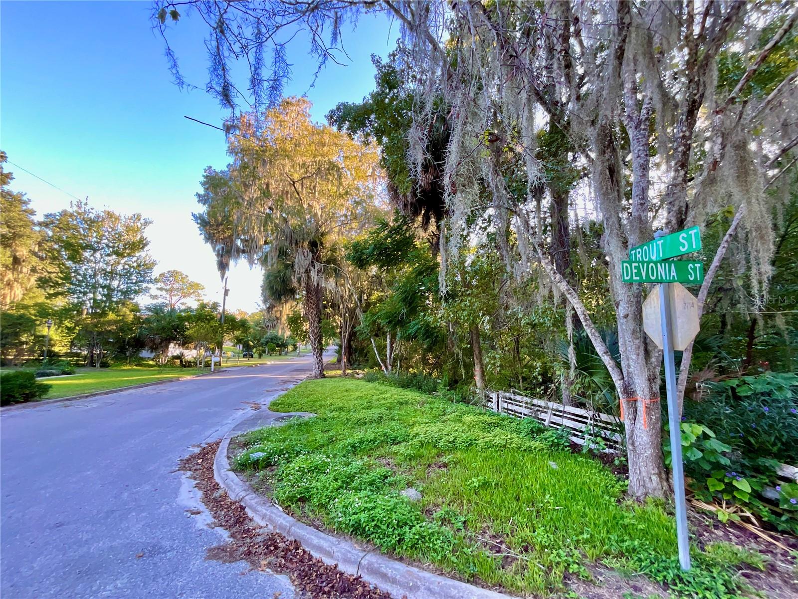 Image 26 of 41 For Trout Street