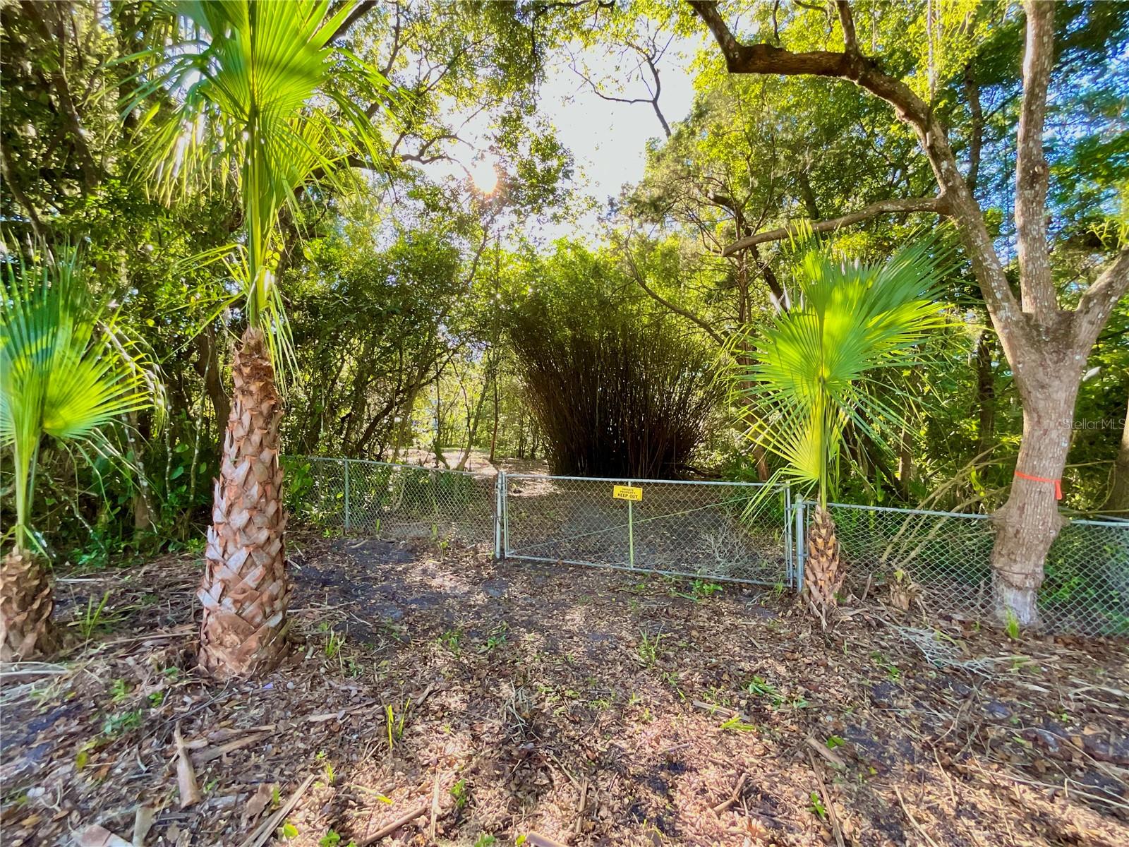 Image 3 of 41 For Trout Street