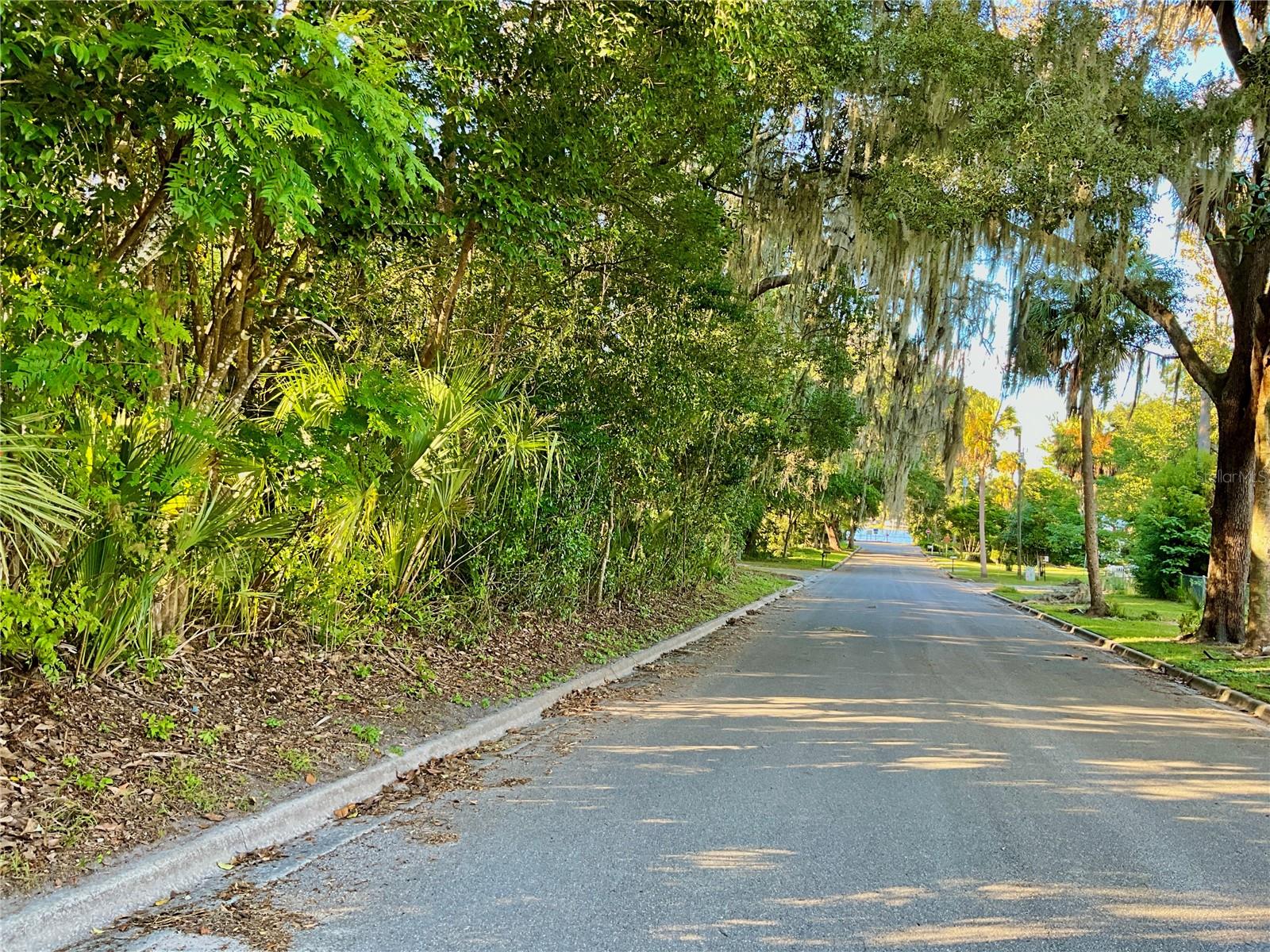 Image 38 of 41 For Trout Street