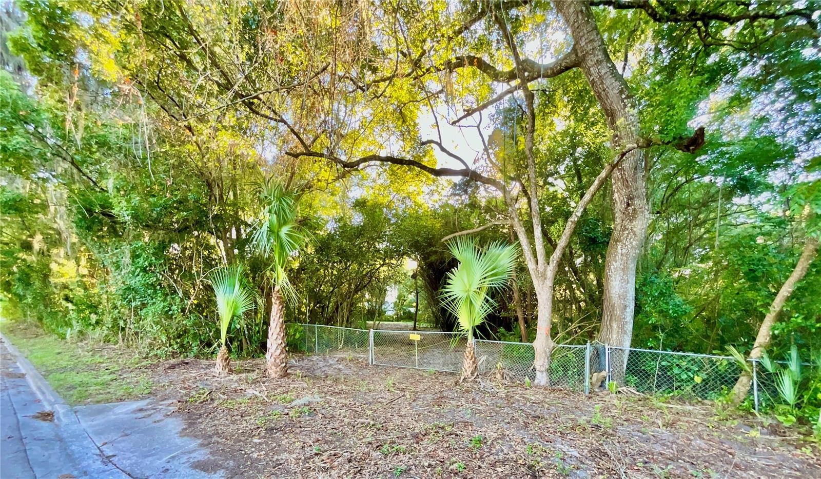 Image 41 of 41 For Trout Street