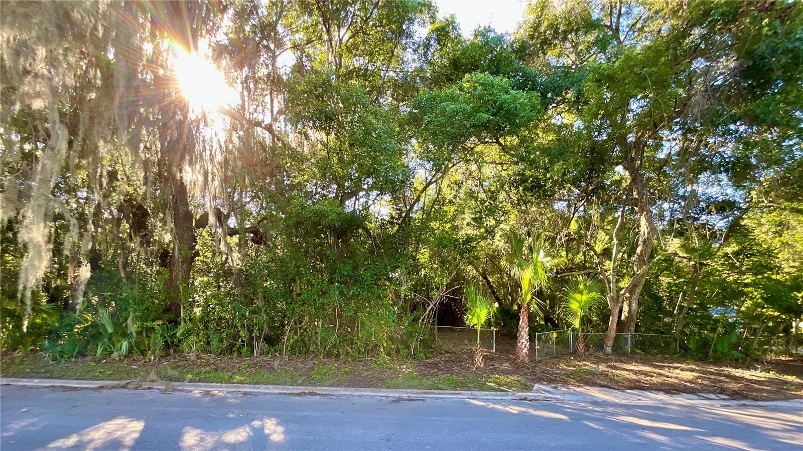 Image 5 of 41 For Trout Street