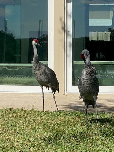 Image 6 of 12 For 11550 Bayshore Drive 20