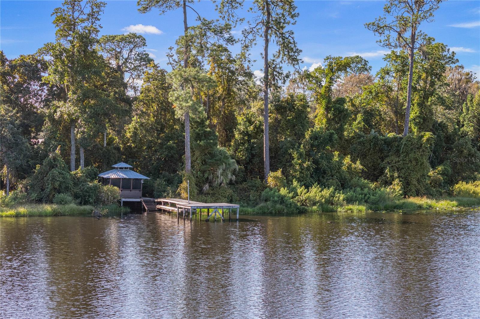 Image 46 of 65 For 11930 225th Drive
