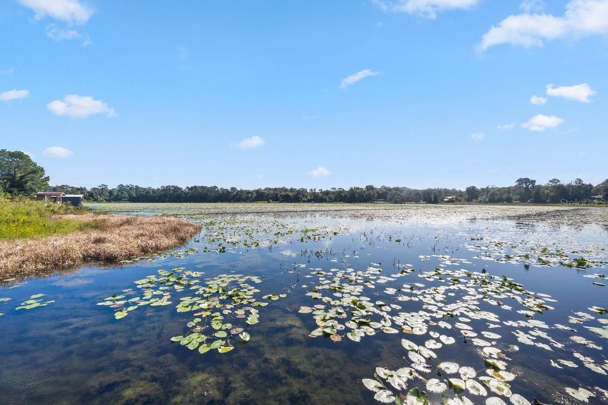 Image 30 of 41 For 832 Lake Shore Terrace