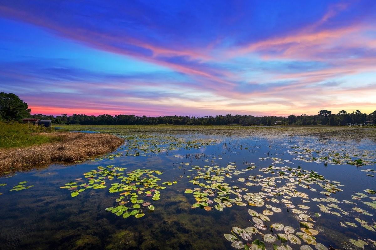 Image 41 of 41 For 832 Lake Shore Terrace