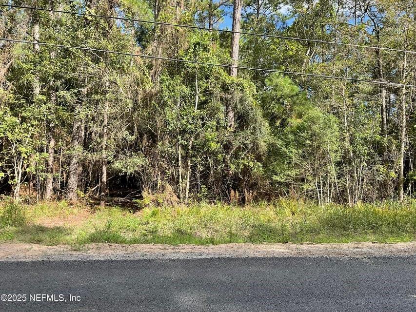 Details for 3089 Veronica Avenue, MIDDLEBURG, FL 32068