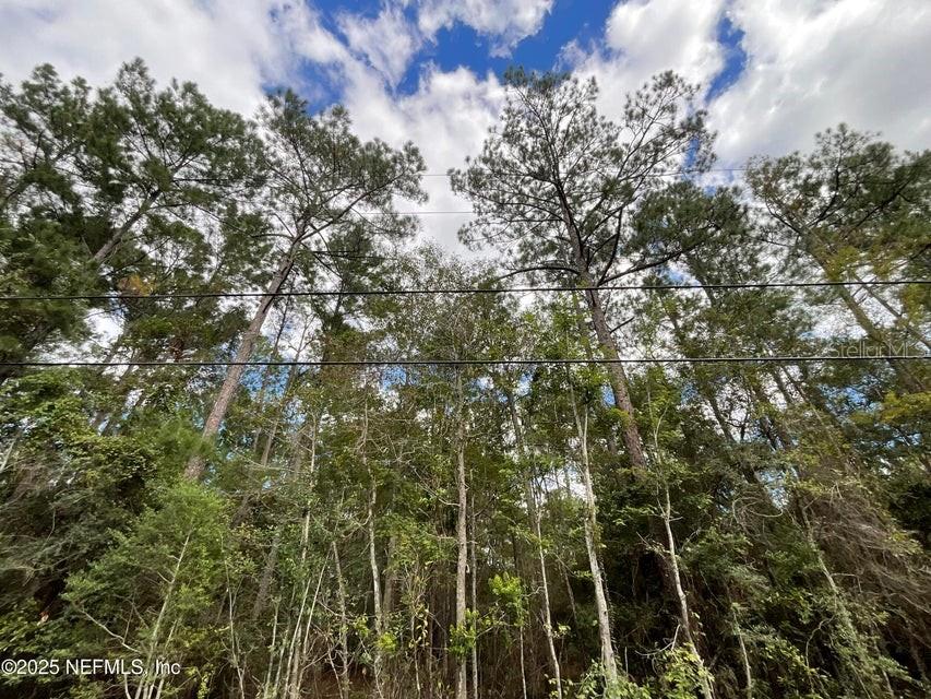 Image 2 of 5 For 3089 Veronica Avenue