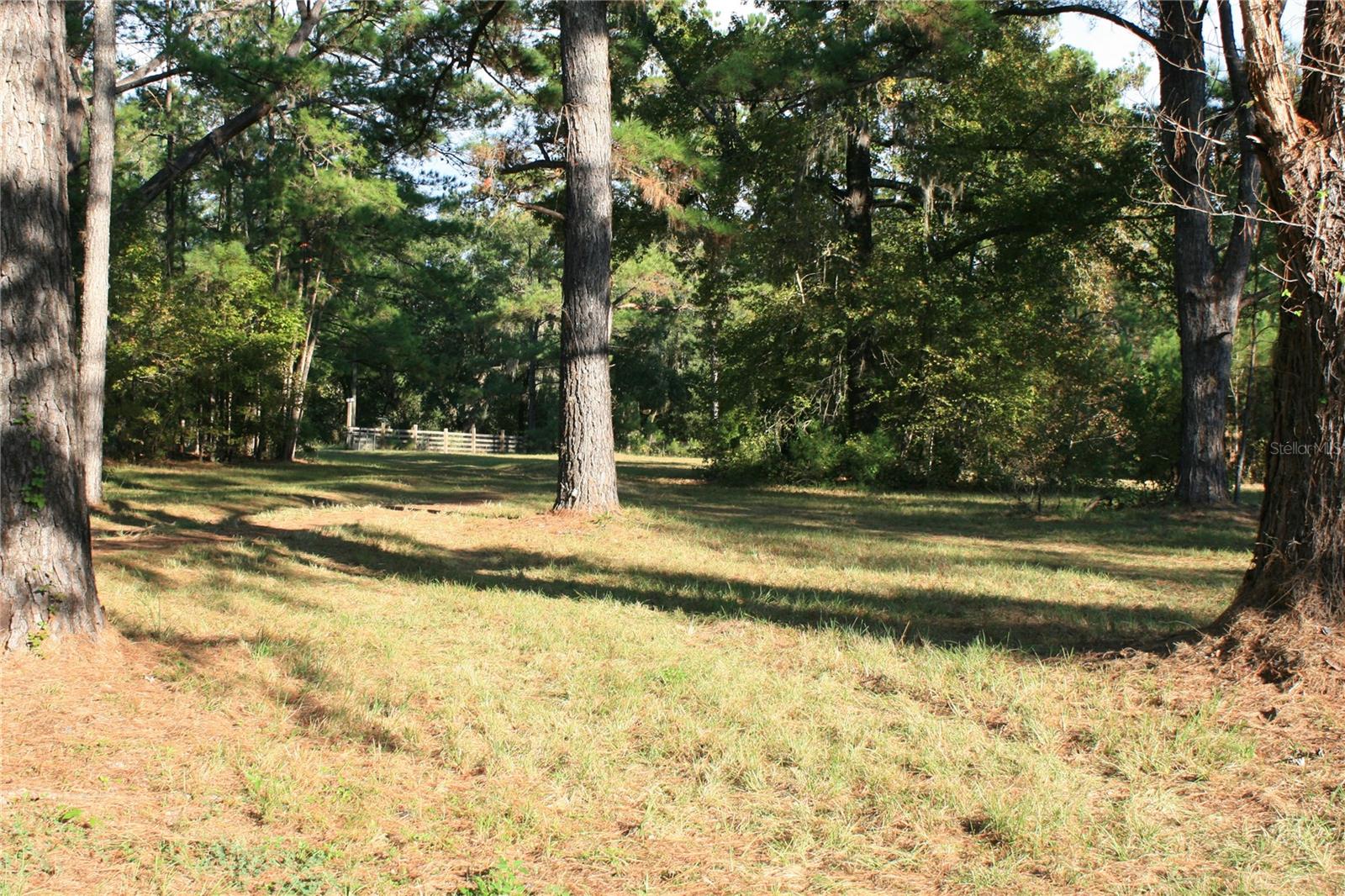 Image 19 of 22 For 1228 Us Highway 301