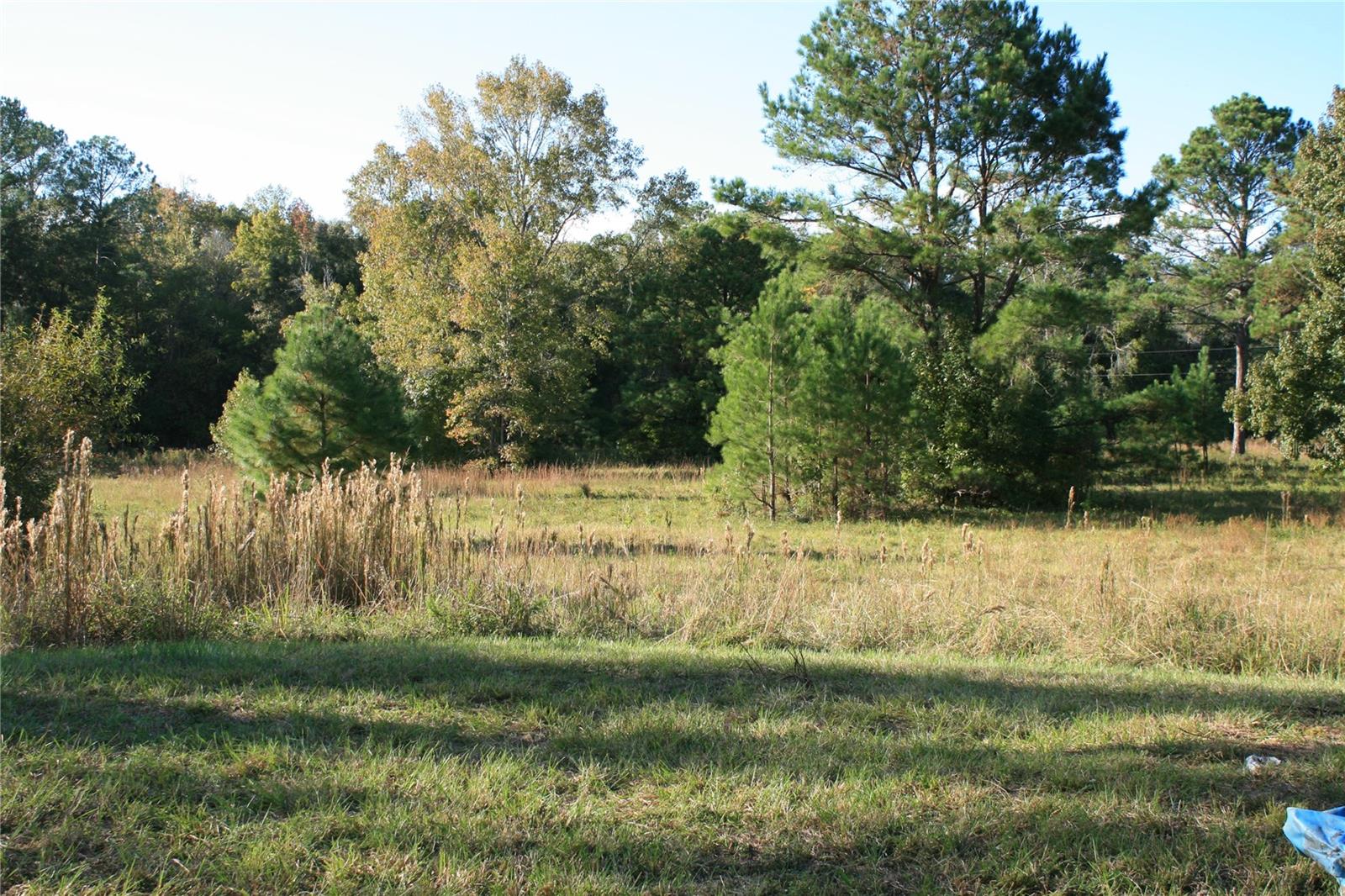 Image 3 of 22 For 1228 Us Highway 301