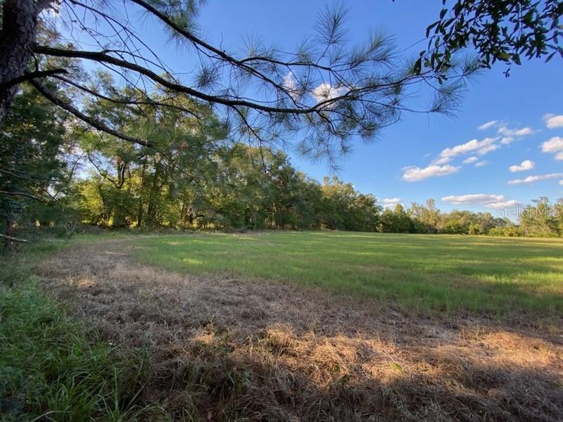 Details for 000 Cr Rd1491 Road, ALACHUA, FL 32615