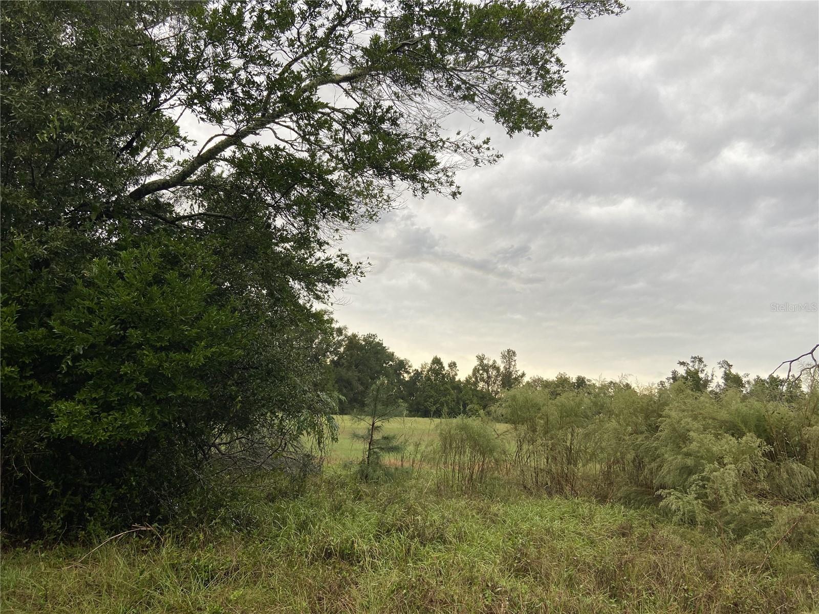 Image 2 of 5 For 000 Cr Rd1491 Road