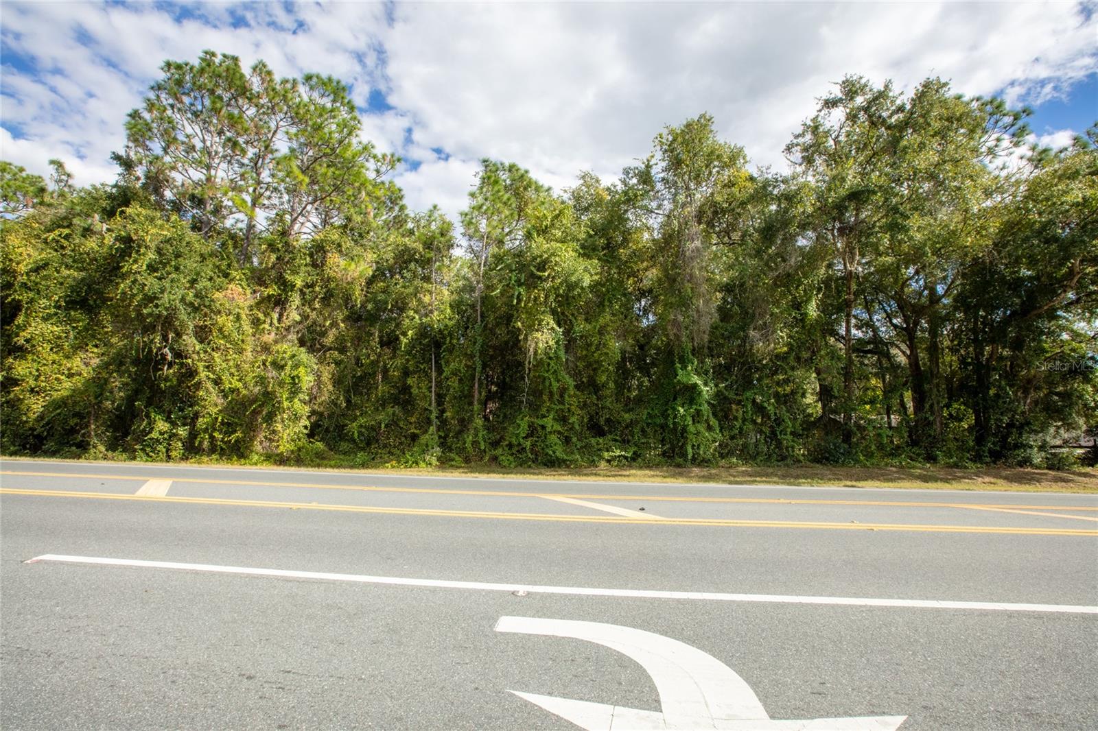 Image 10 of 12 For  Sr-21  