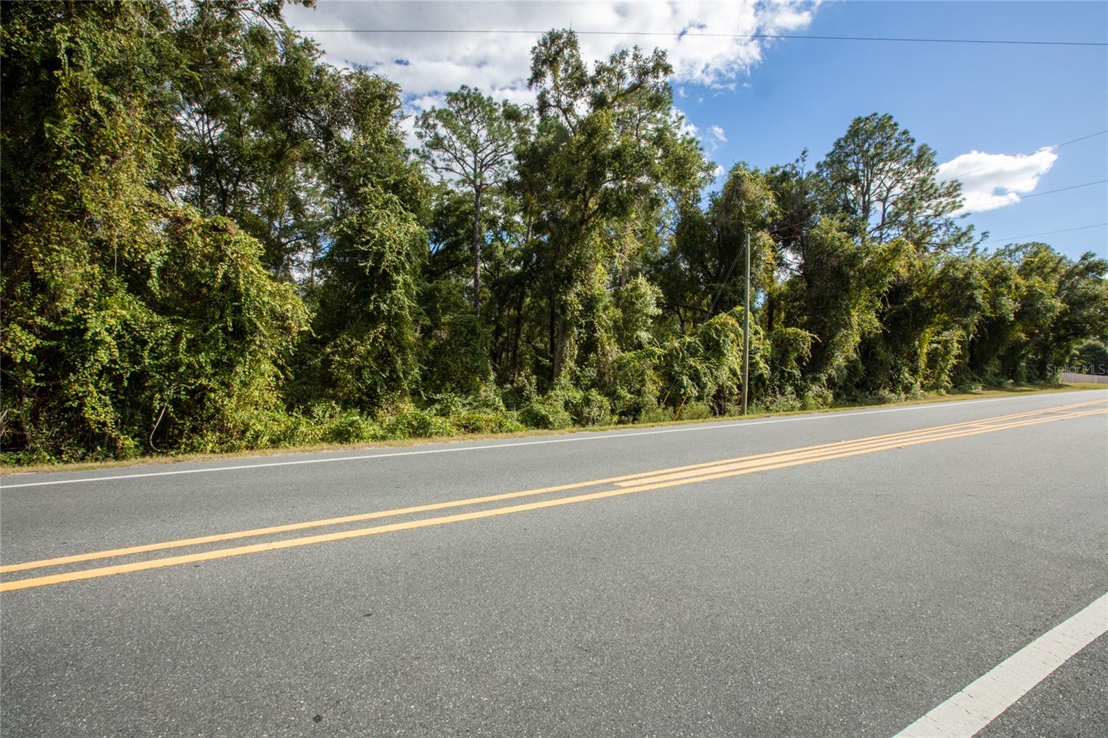 Image 12 of 12 For  Sr-21  