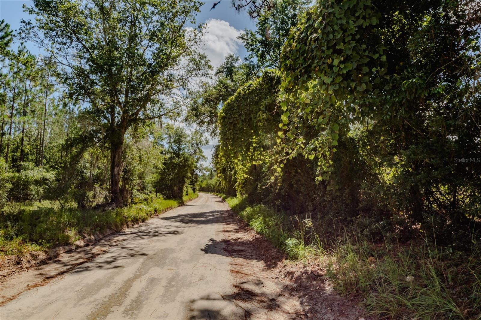 Image 4 of 4 For Tbd Jordan Street