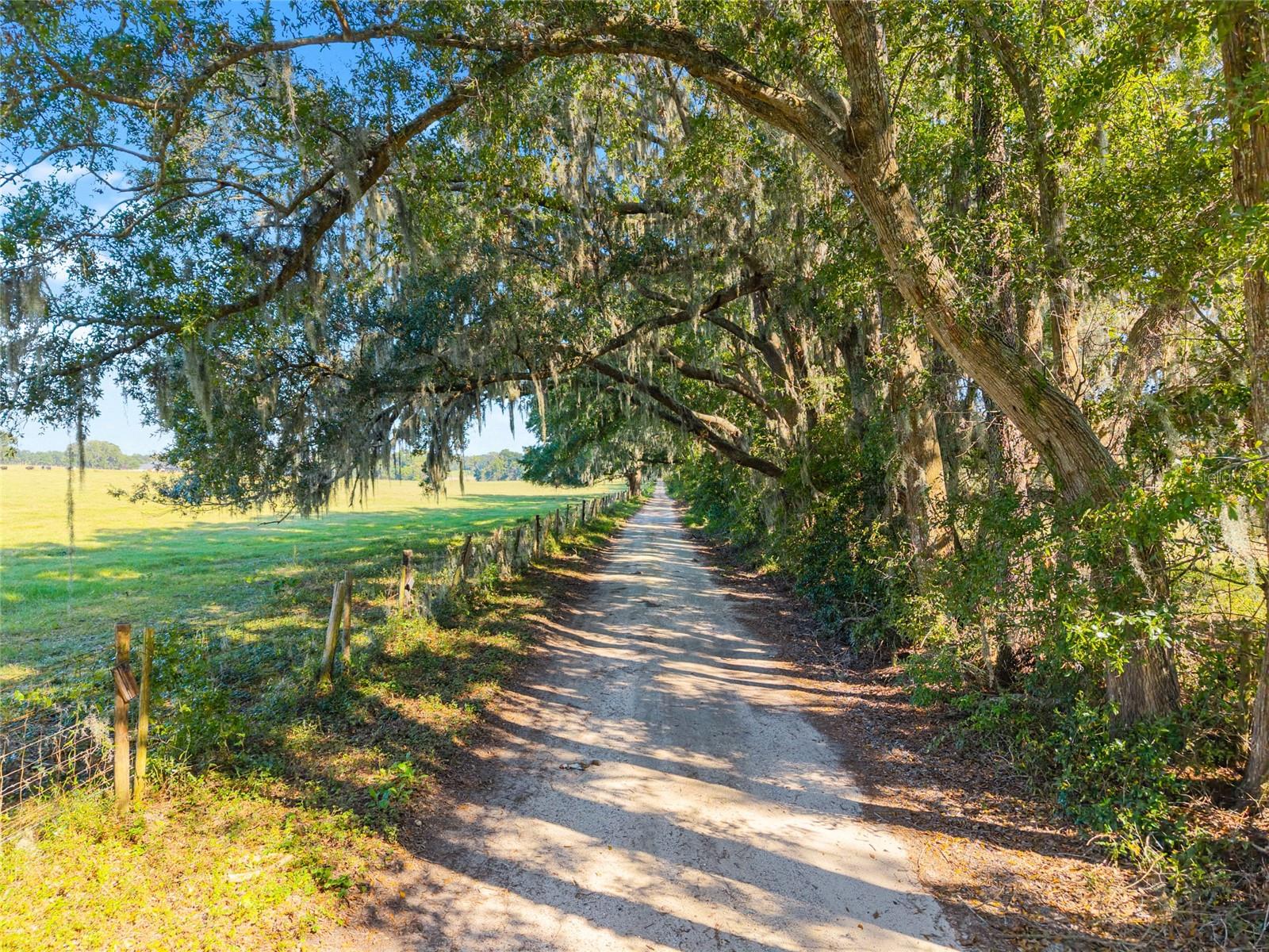 Image 38 of 57 For 12719 88th Place