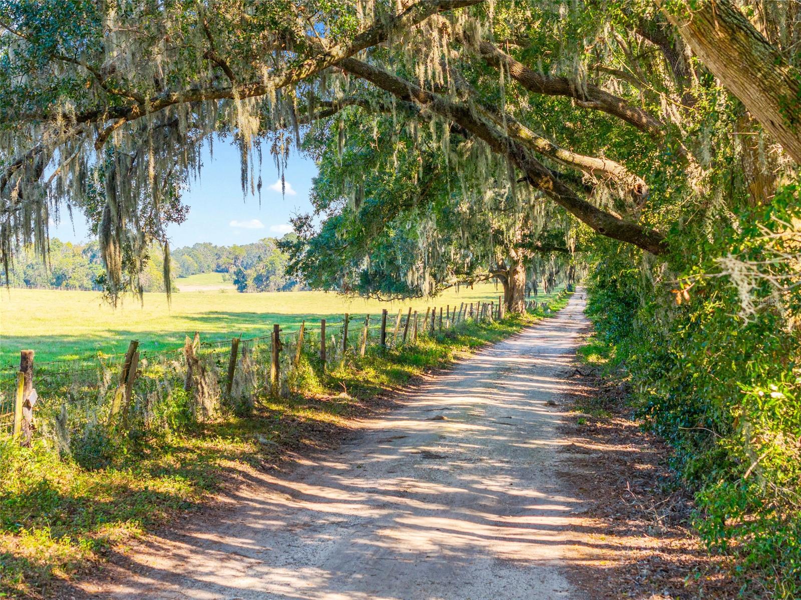 Image 39 of 57 For 12719 88th Place