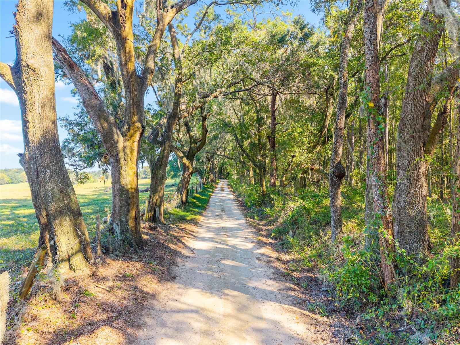 Image 41 of 57 For 12719 88th Place