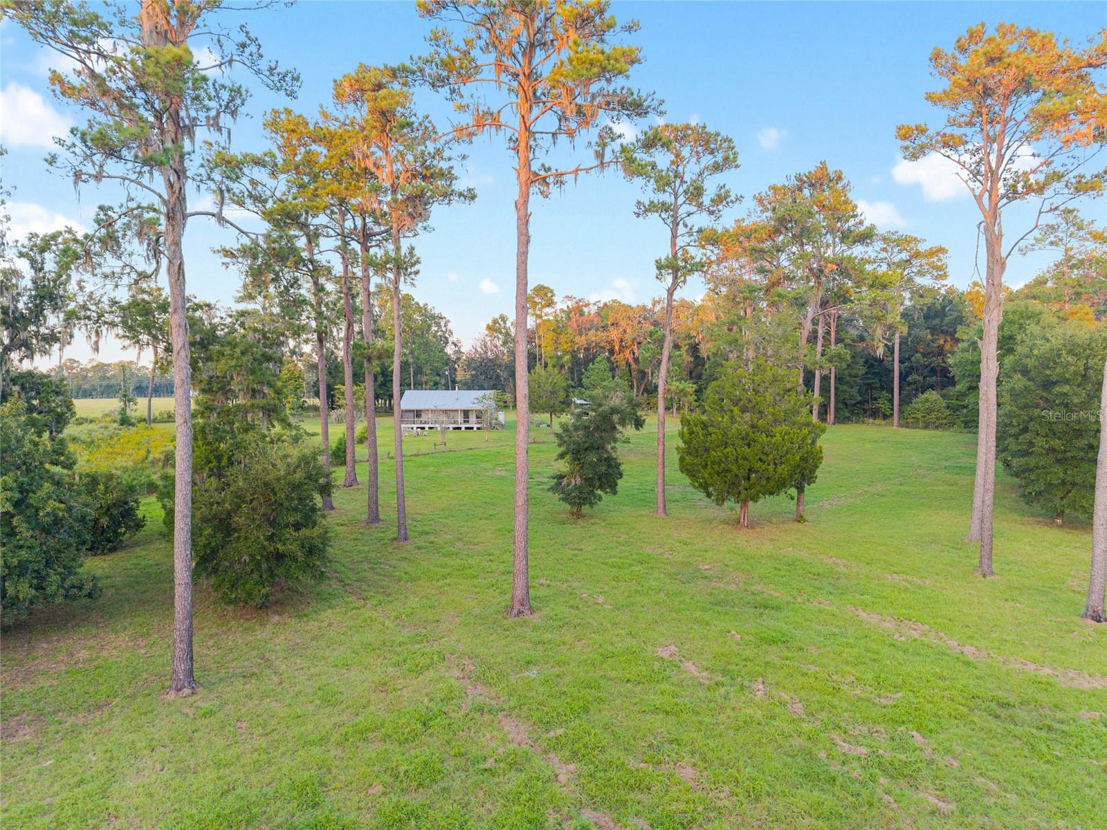 Image 55 of 57 For 12719 88th Place