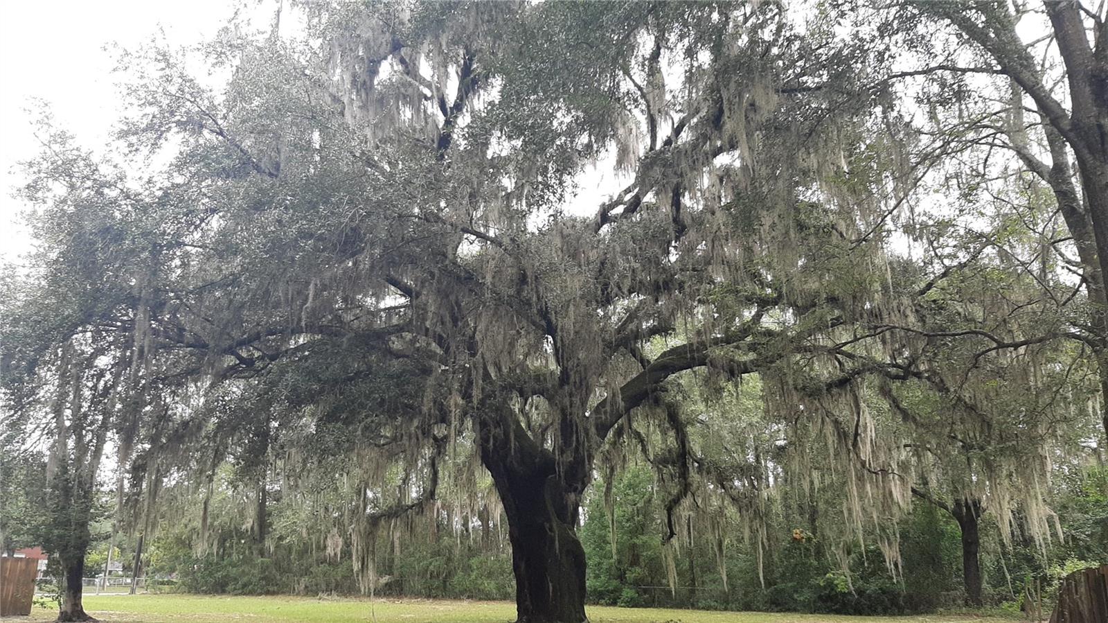 Image 21 of 21 For 3801 6th Street