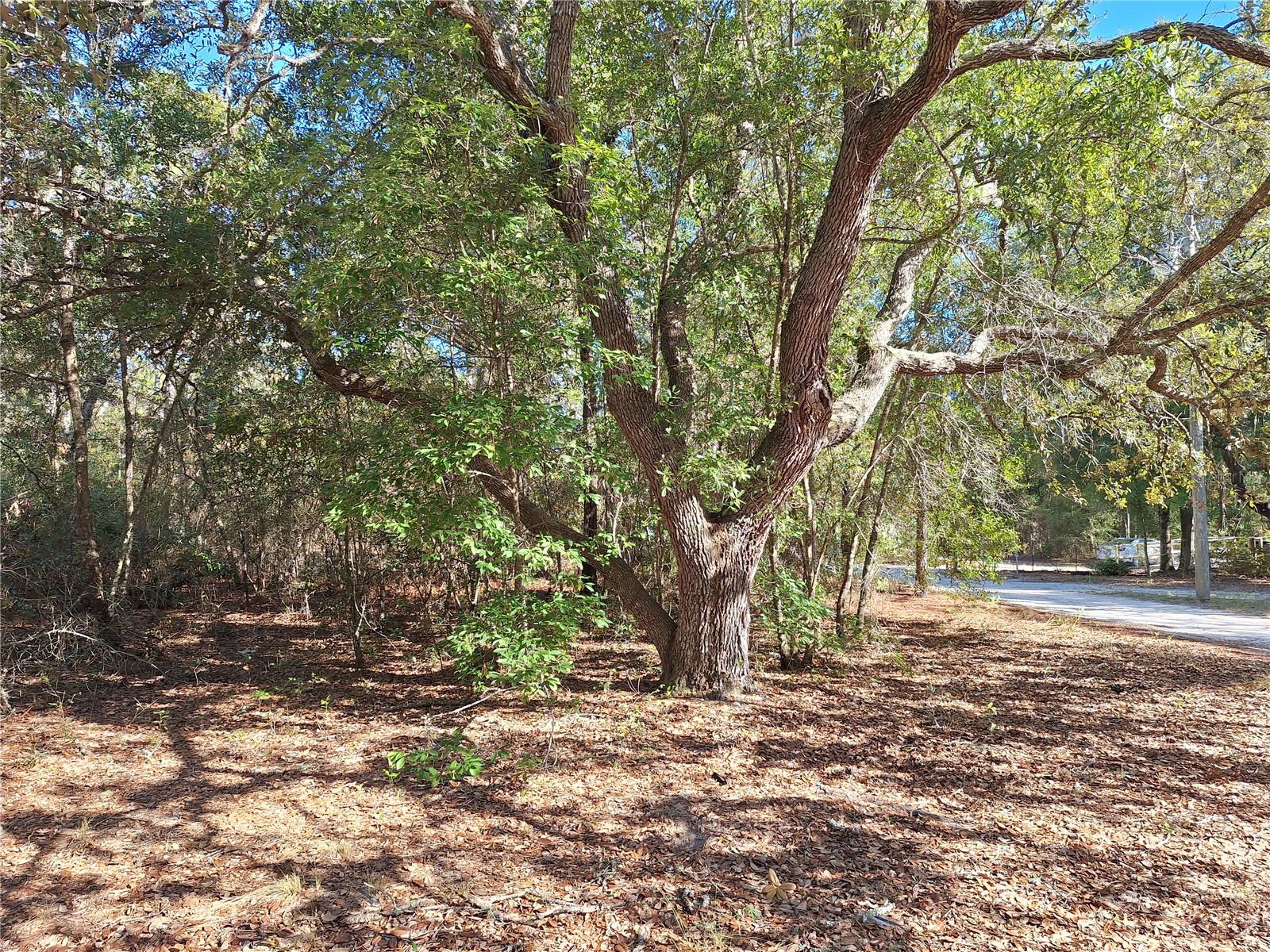 Image 19 of 41 For 7417 6th Street