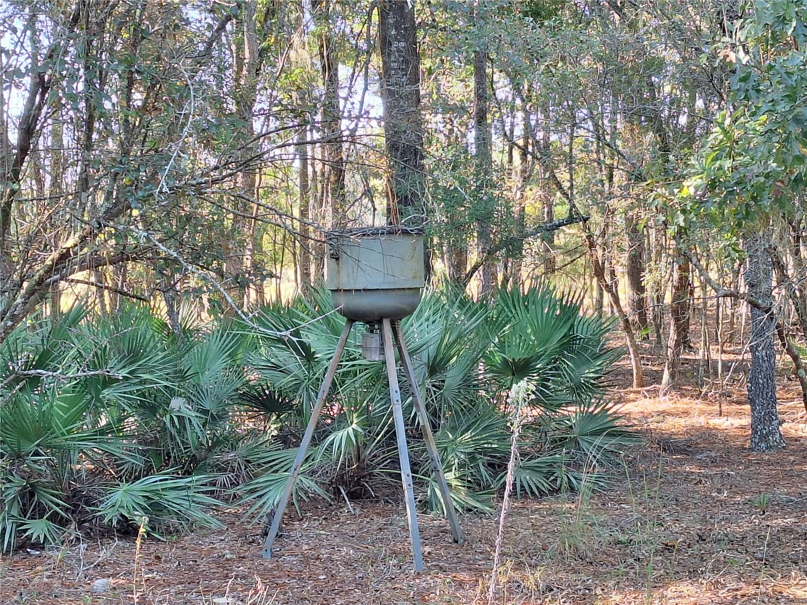 Image 22 of 41 For 7417 6th Street