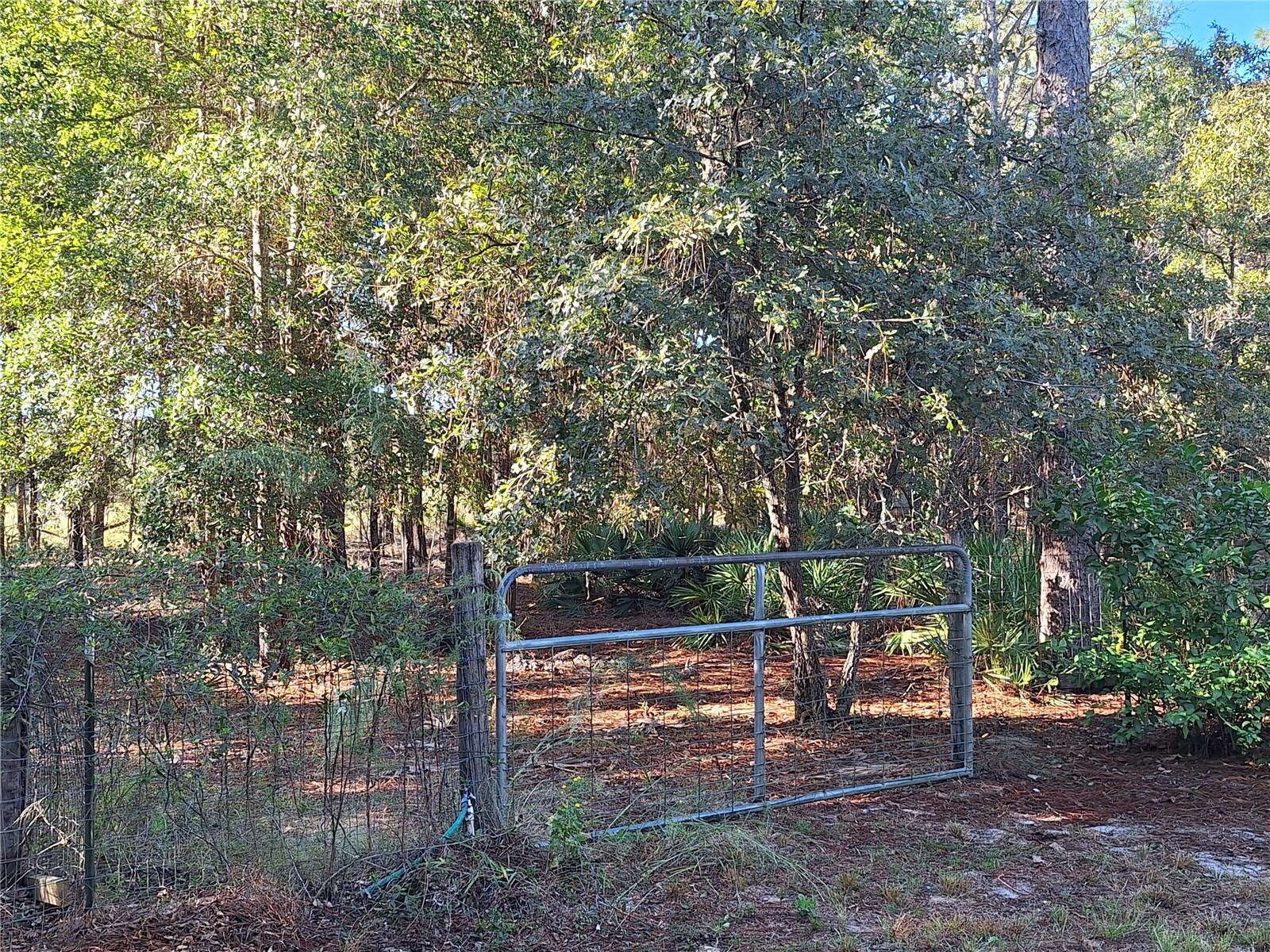 Image 25 of 41 For 7417 6th Street