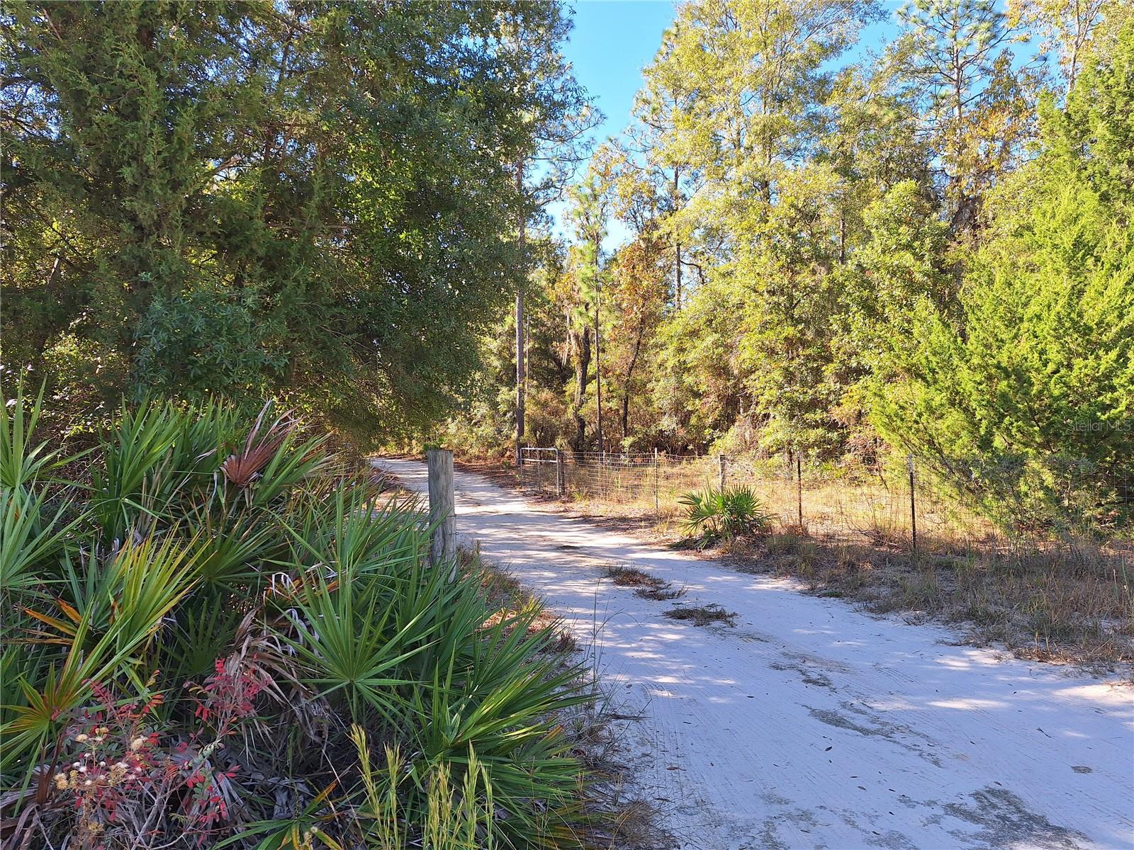 Image 32 of 41 For 7417 6th Street