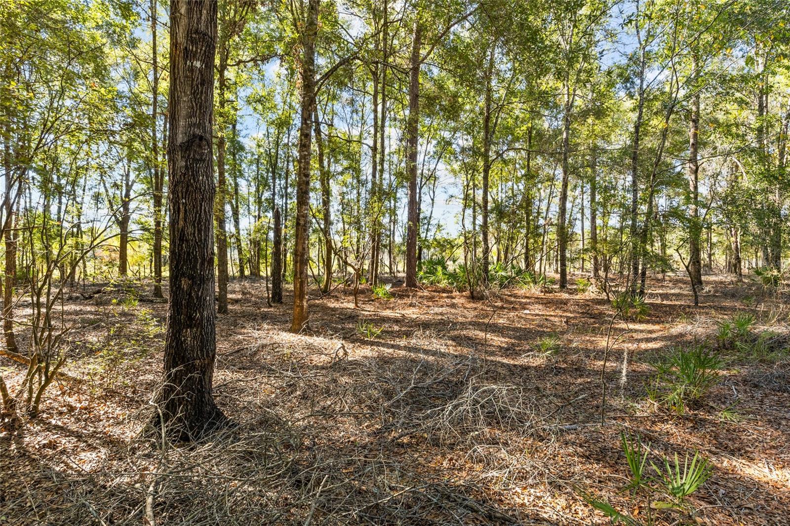 Image 37 of 41 For 7417 6th Street