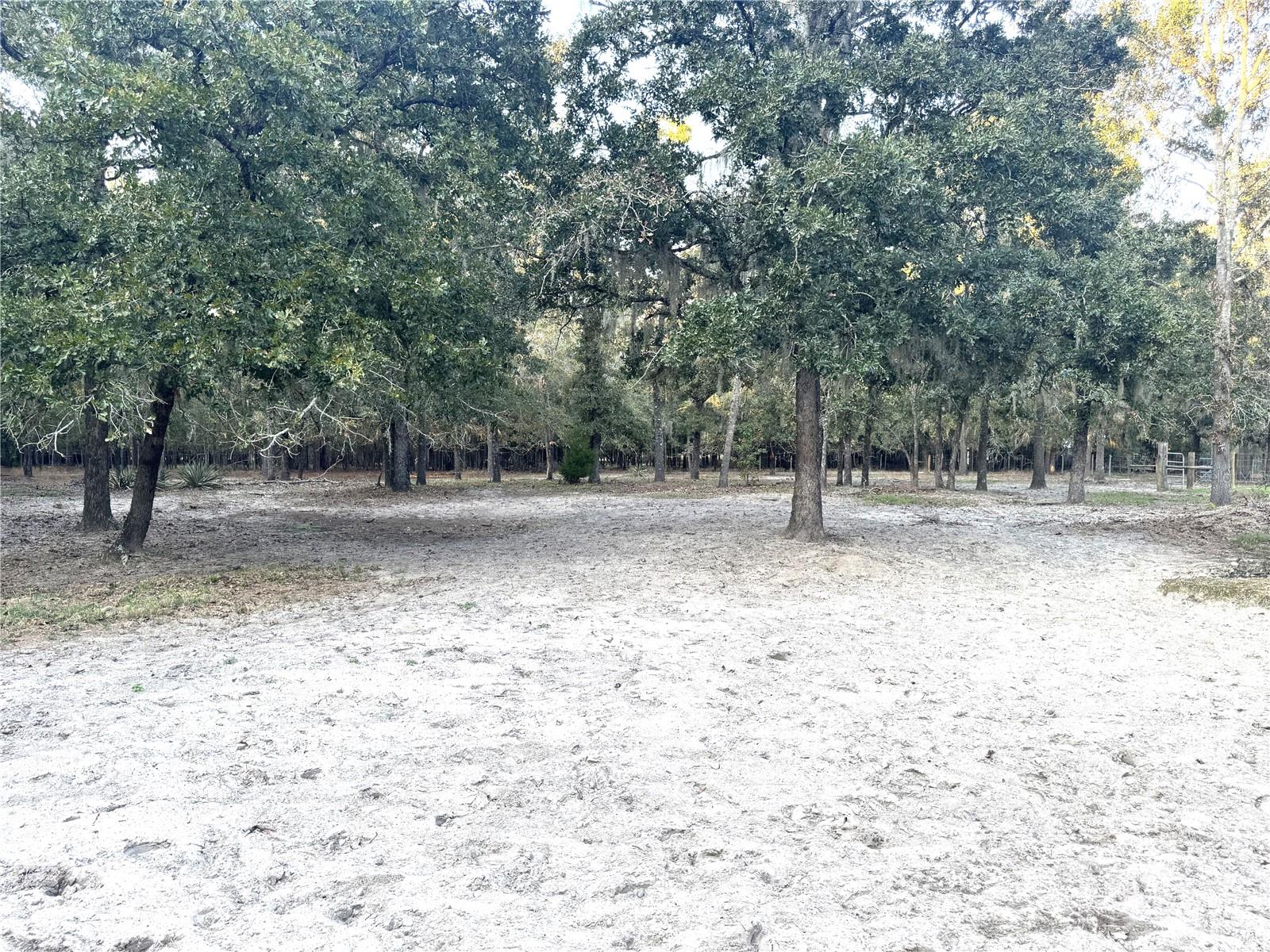 Image 46 of 46 For 2329 80th Avenue